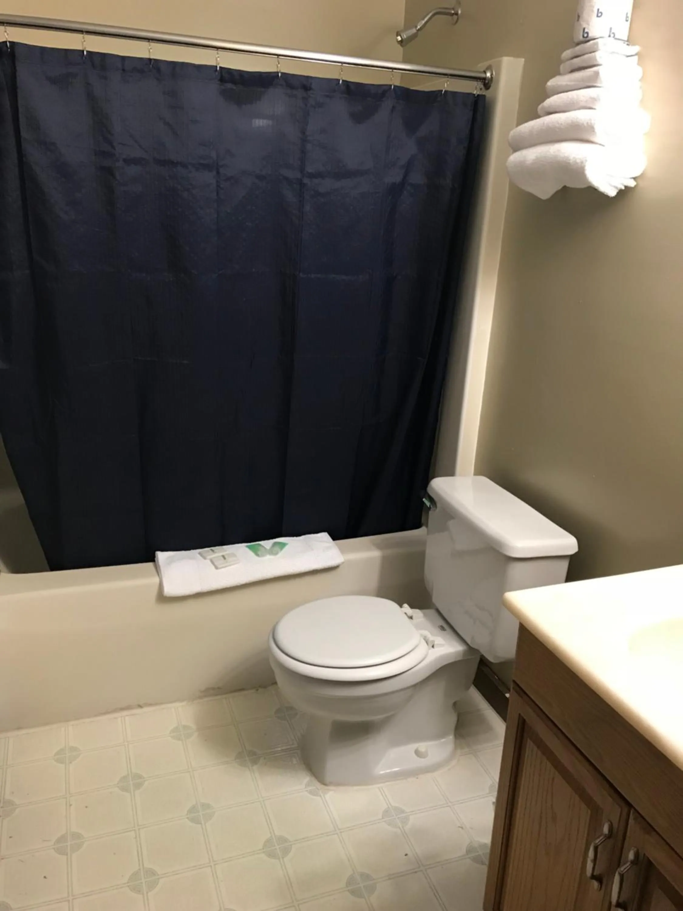 Bathroom in White Birches Motel