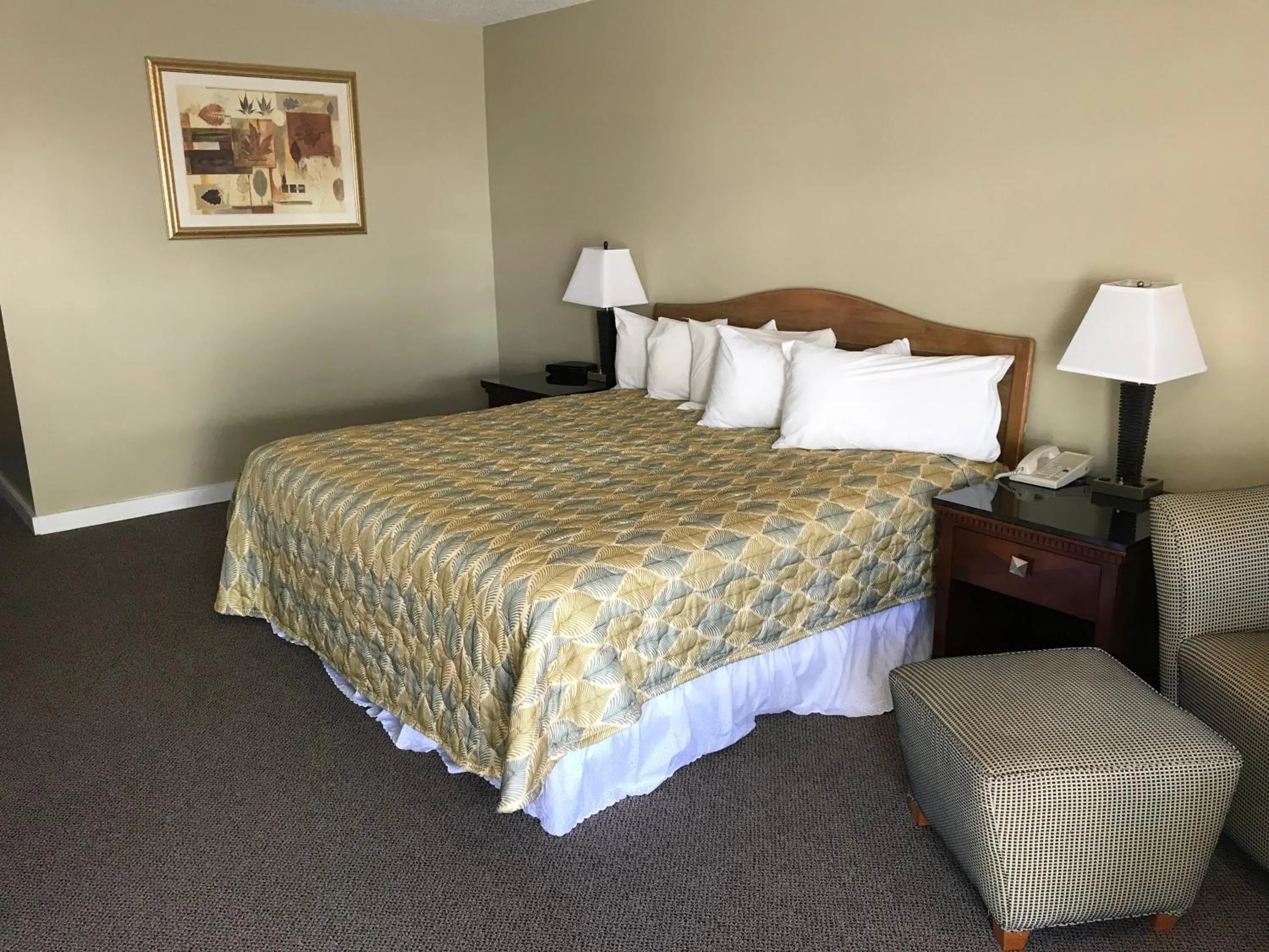 Bed in White Birches Motel