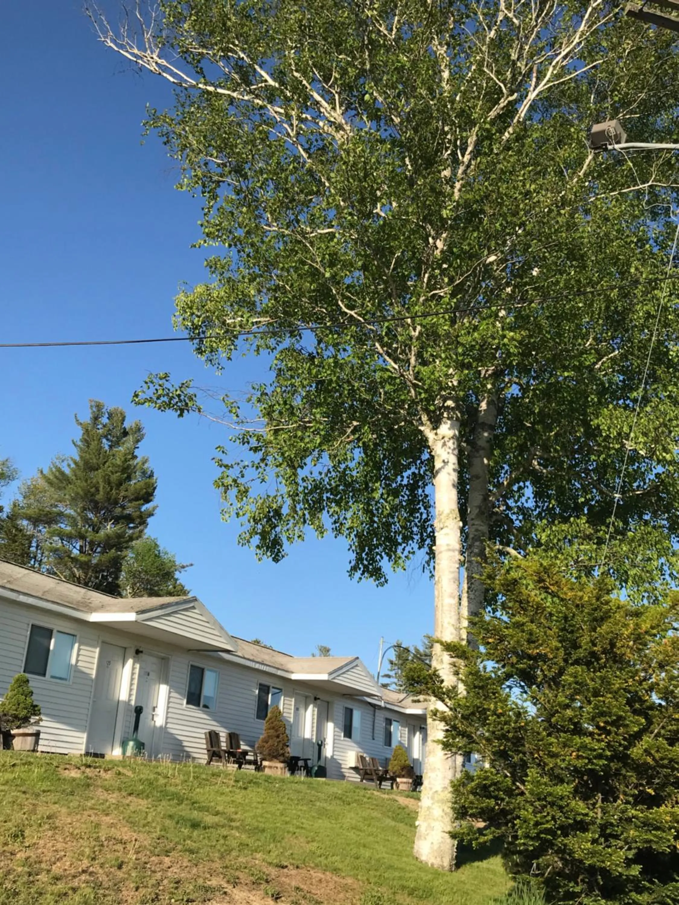 Property building in White Birches Motel
