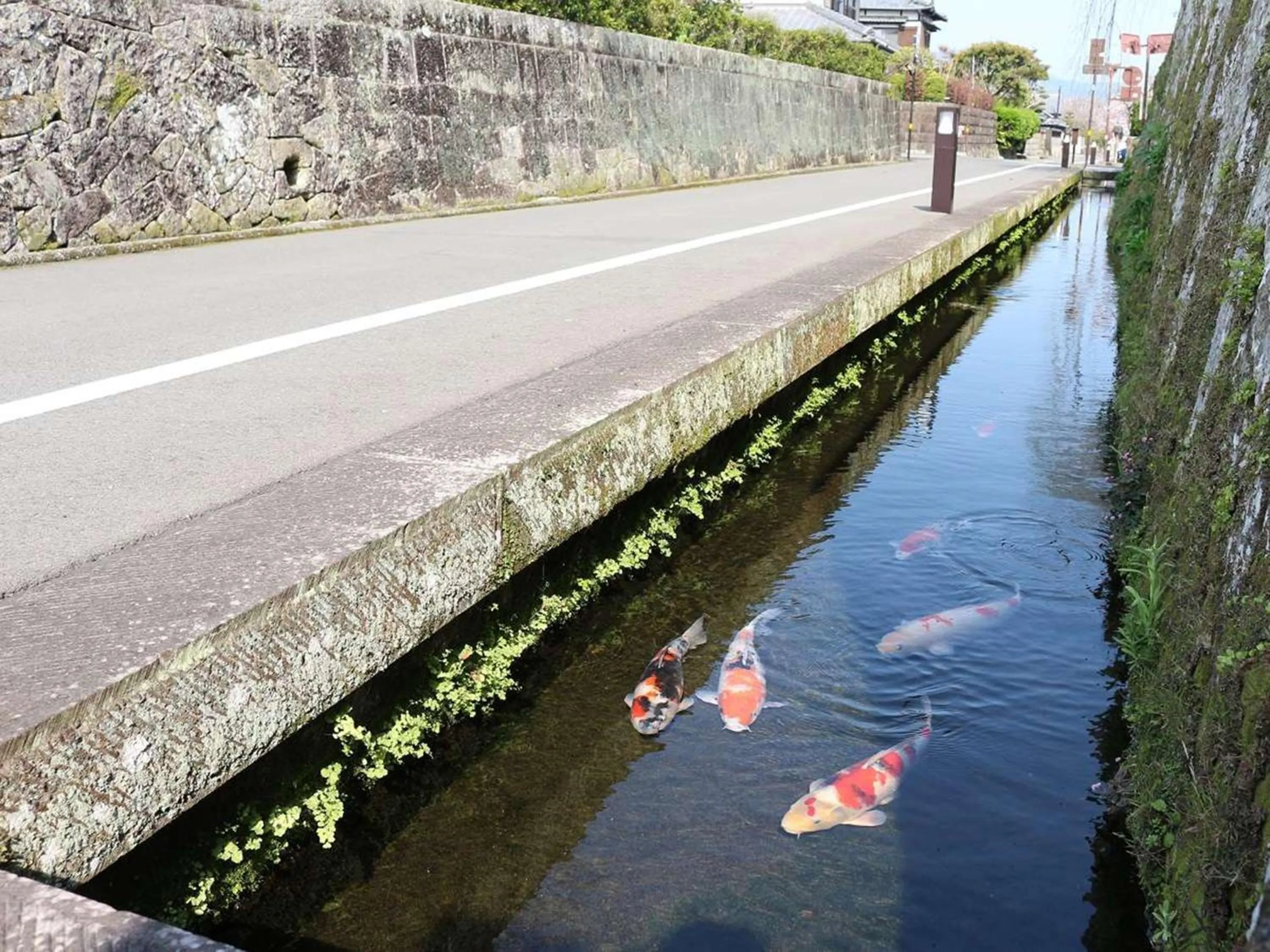 Other in Nichinankaigan Nango Prince Hotel
