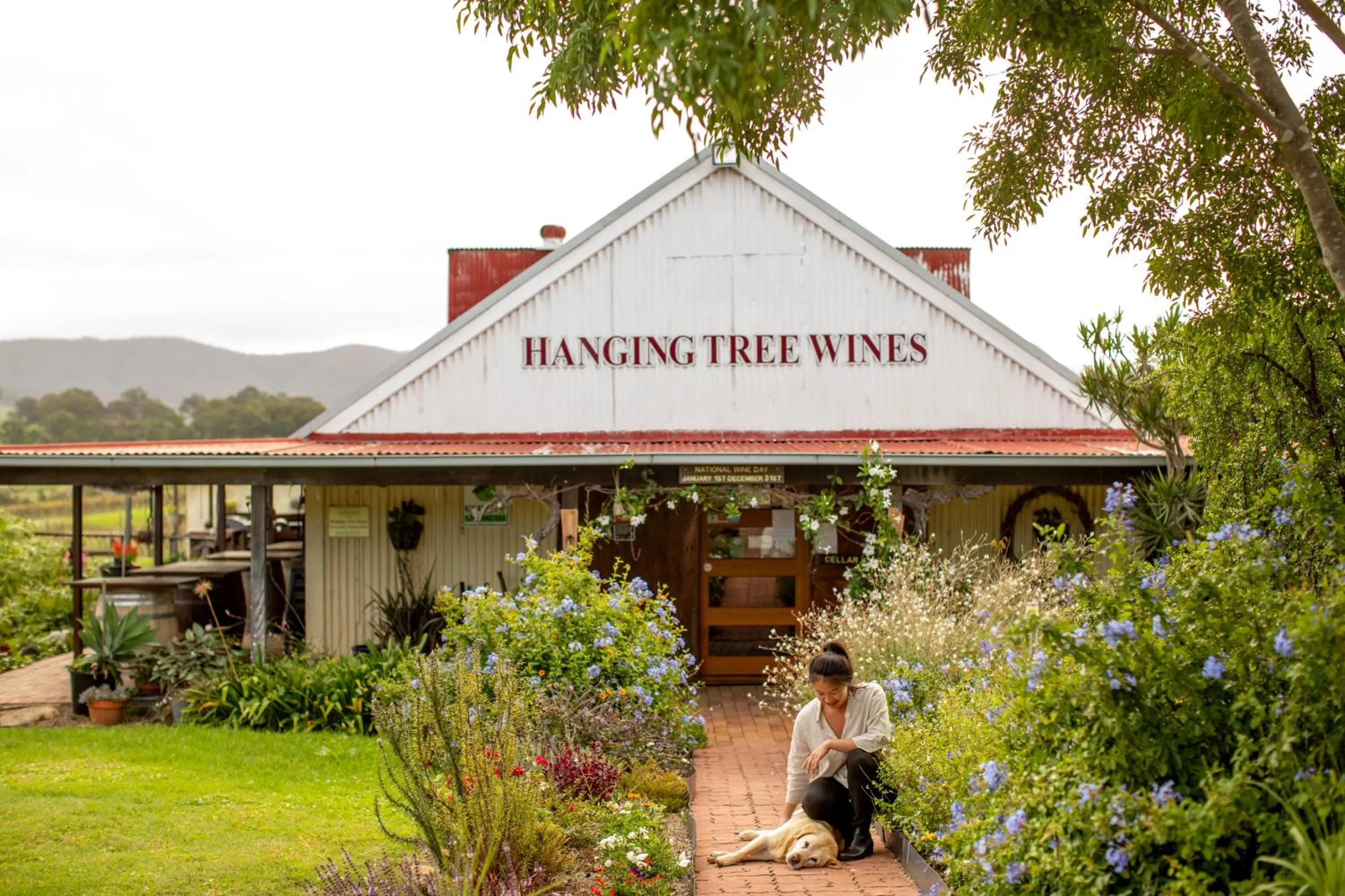 Hanging Tree Wines