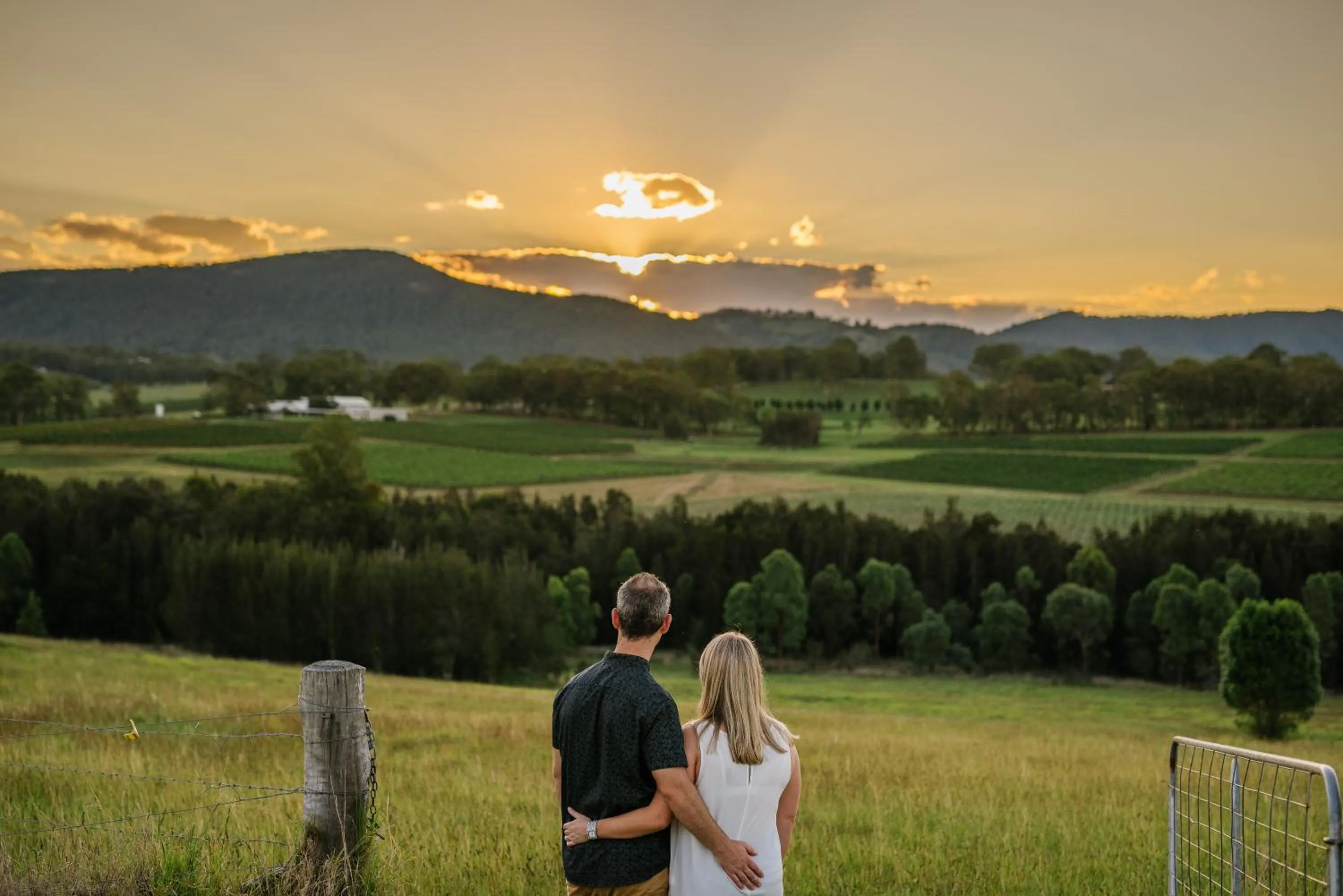 Hanging Tree Wines