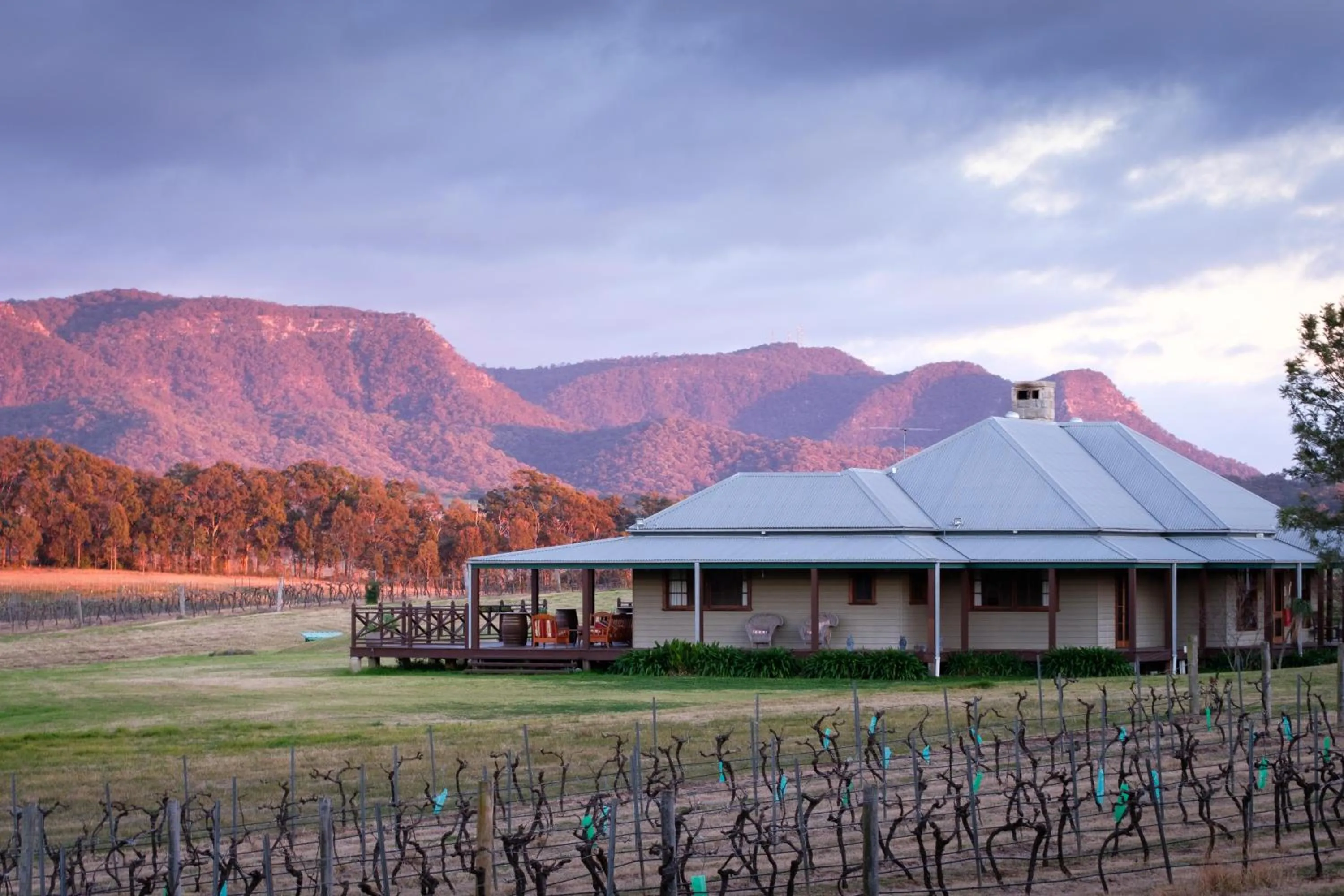 Hanging Tree Wines