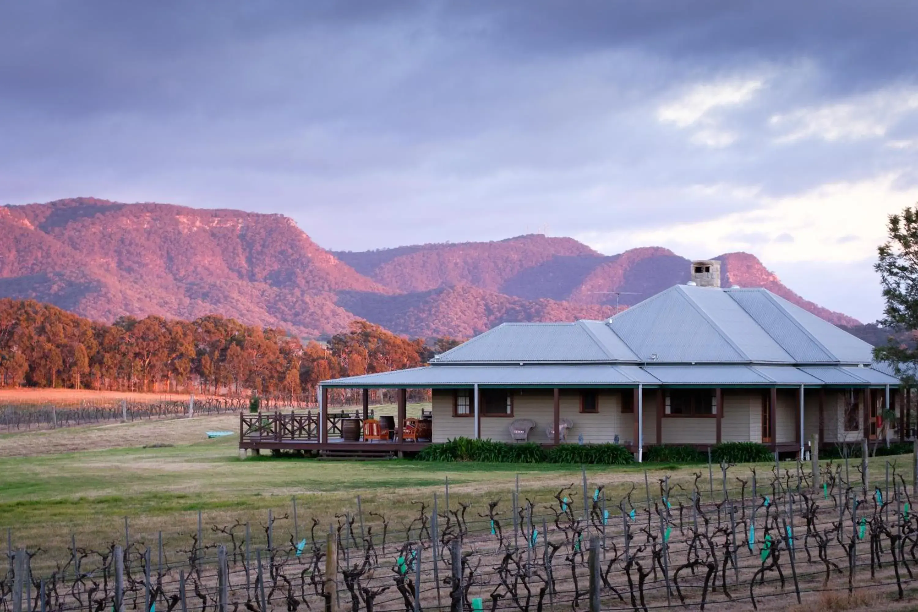 Hanging Tree Wines Hanging Tree Wines