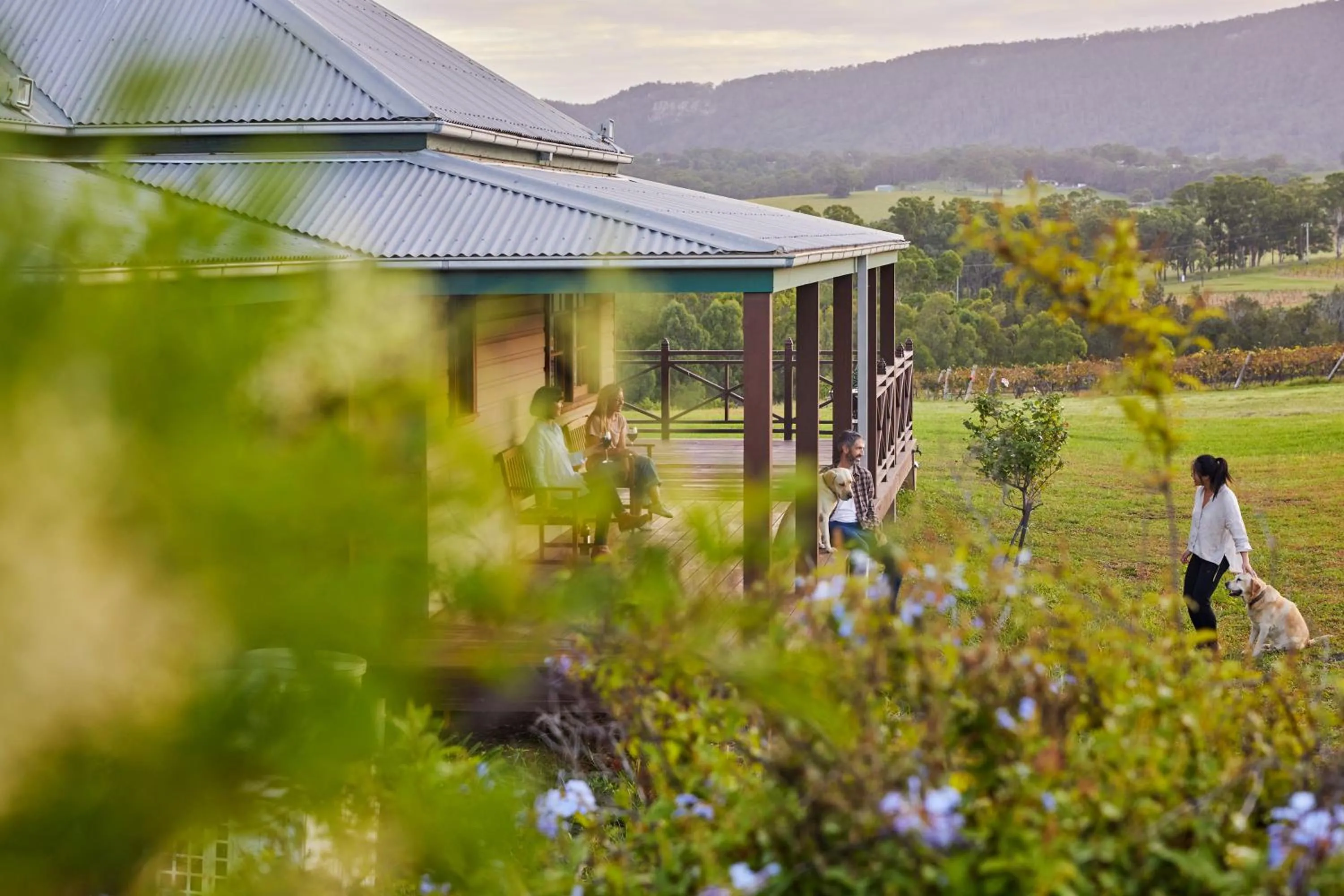 Hanging Tree Wines