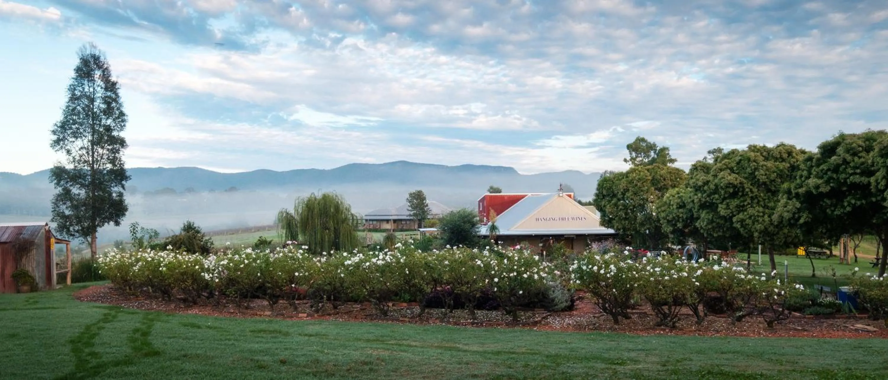 Hanging Tree Wines
