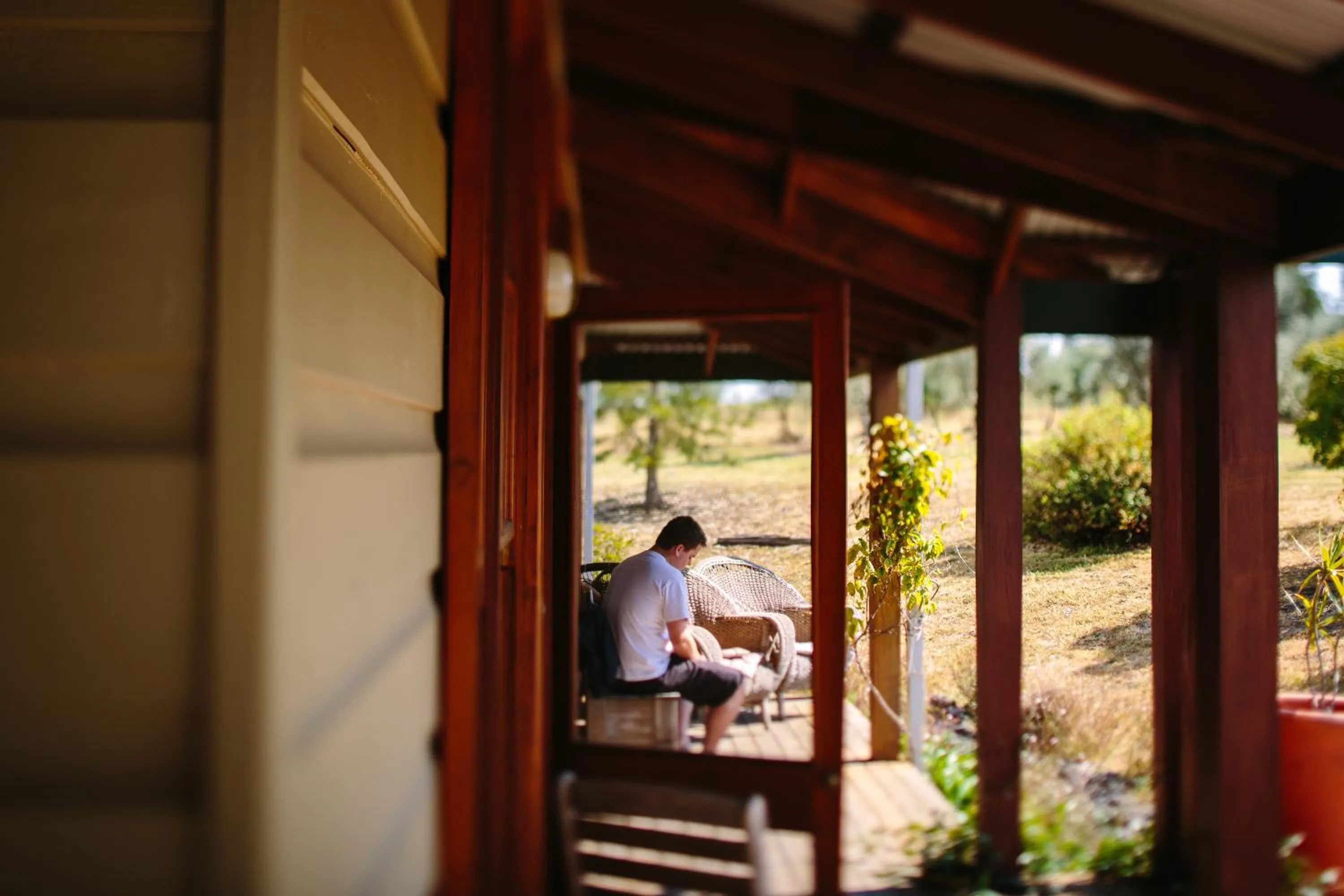 Hanging Tree Wines