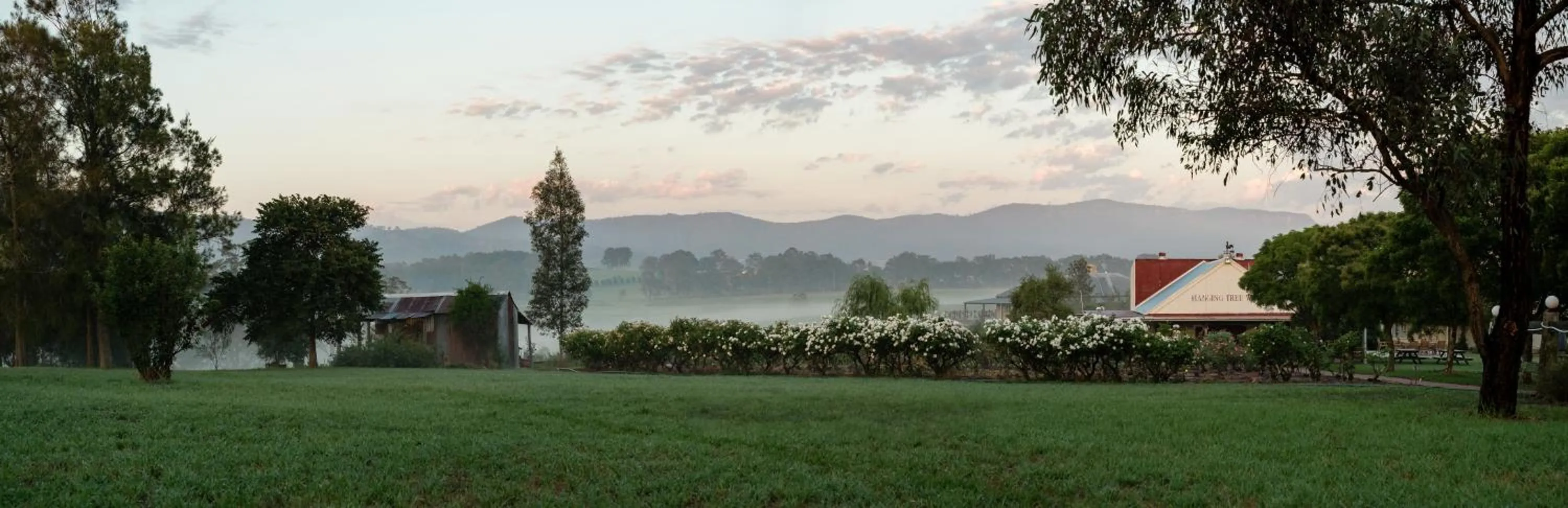 Hanging Tree Wines