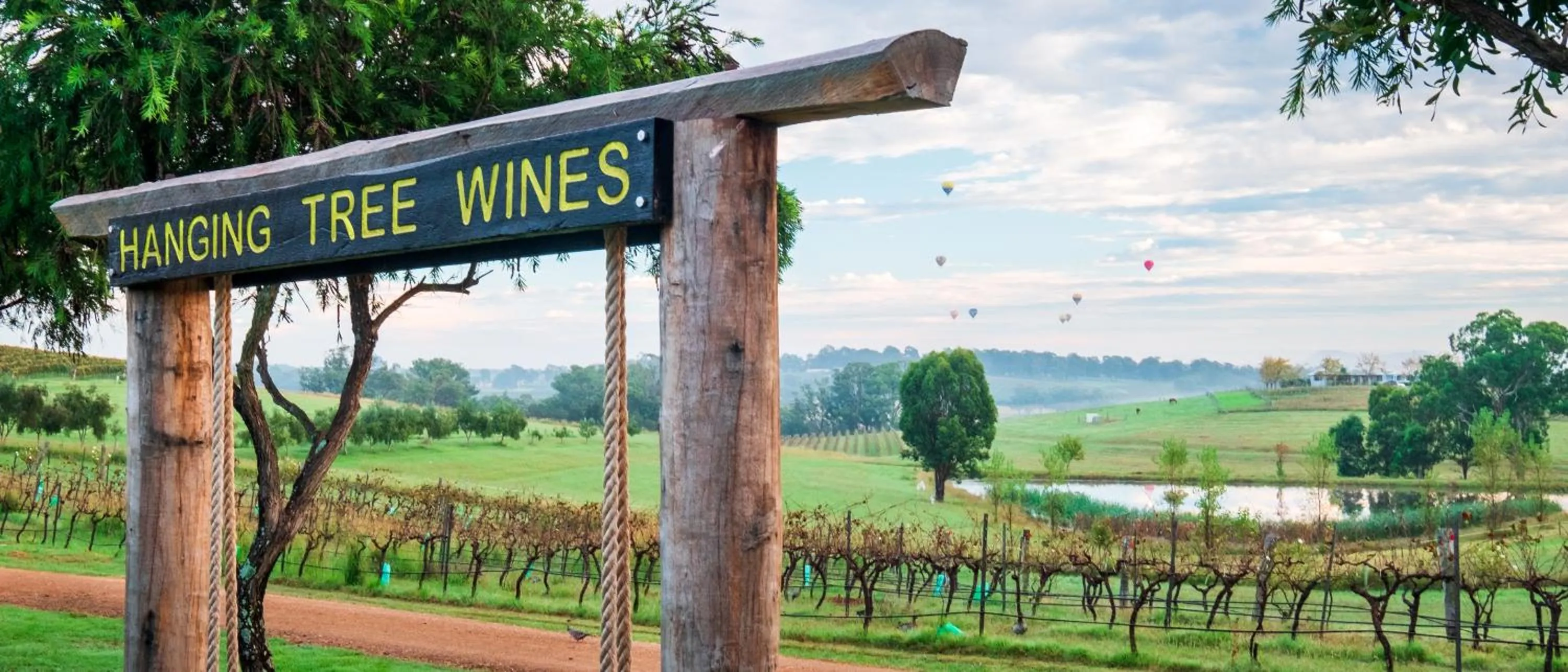 Hanging Tree Wines
