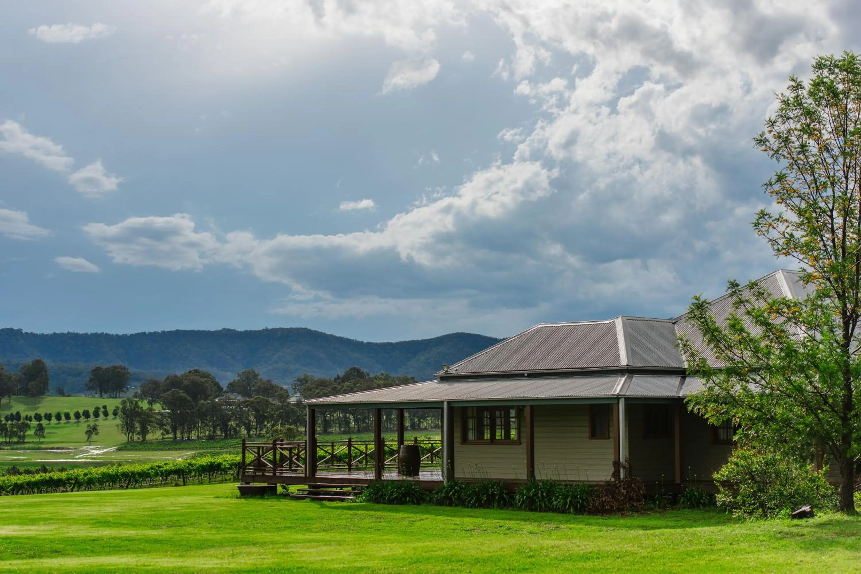 Hanging Tree Wines