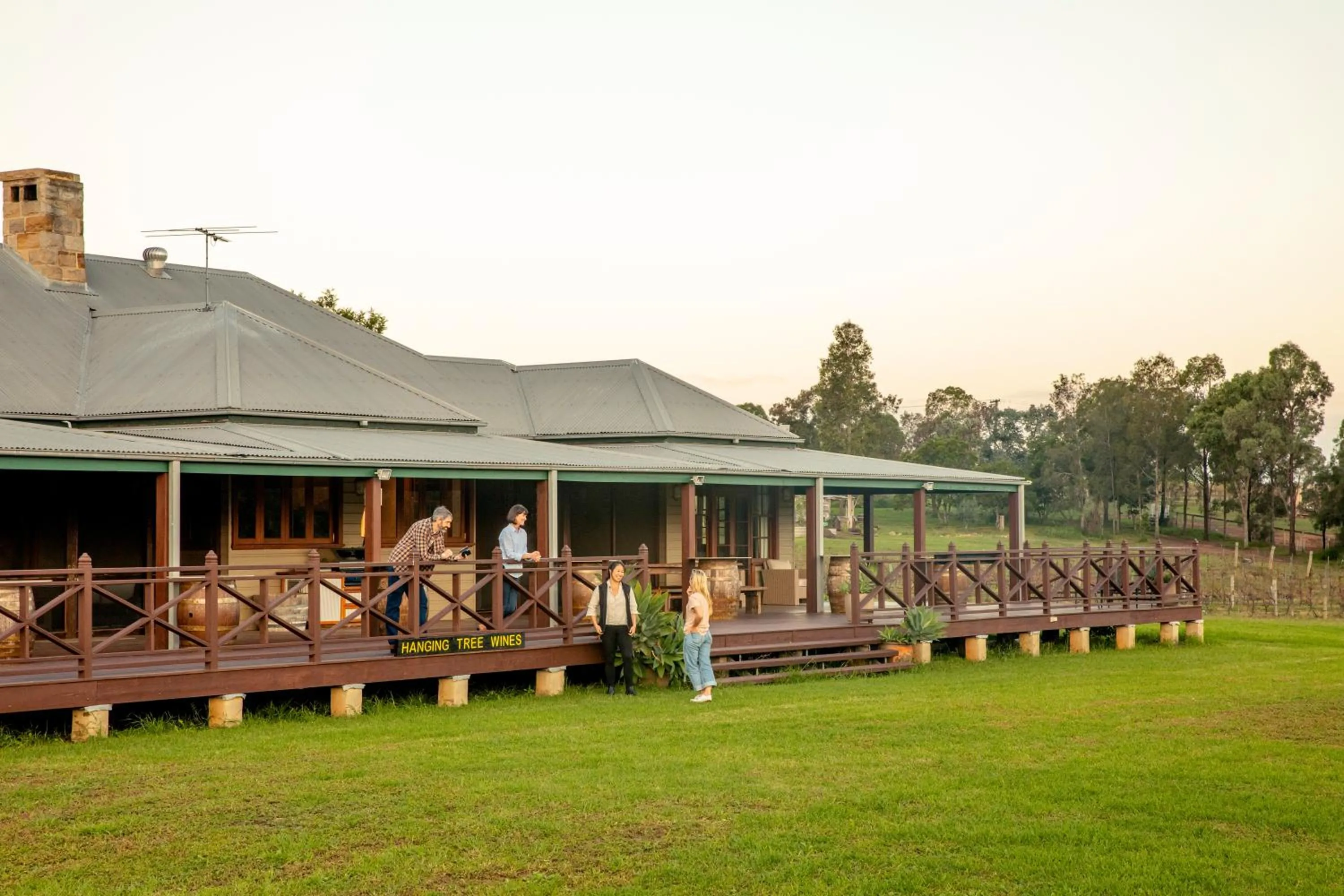 Hanging Tree Wines