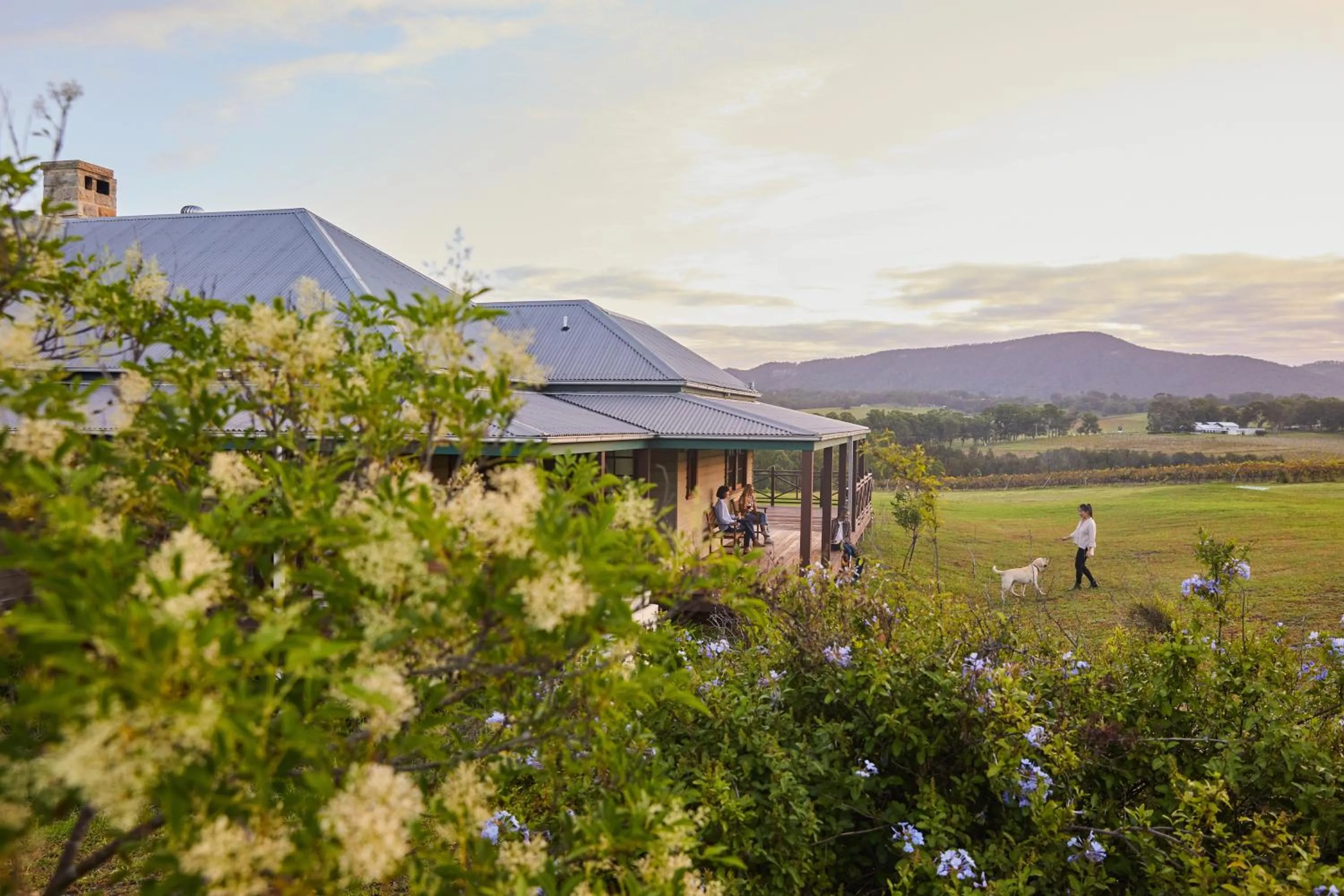 Hanging Tree Wines