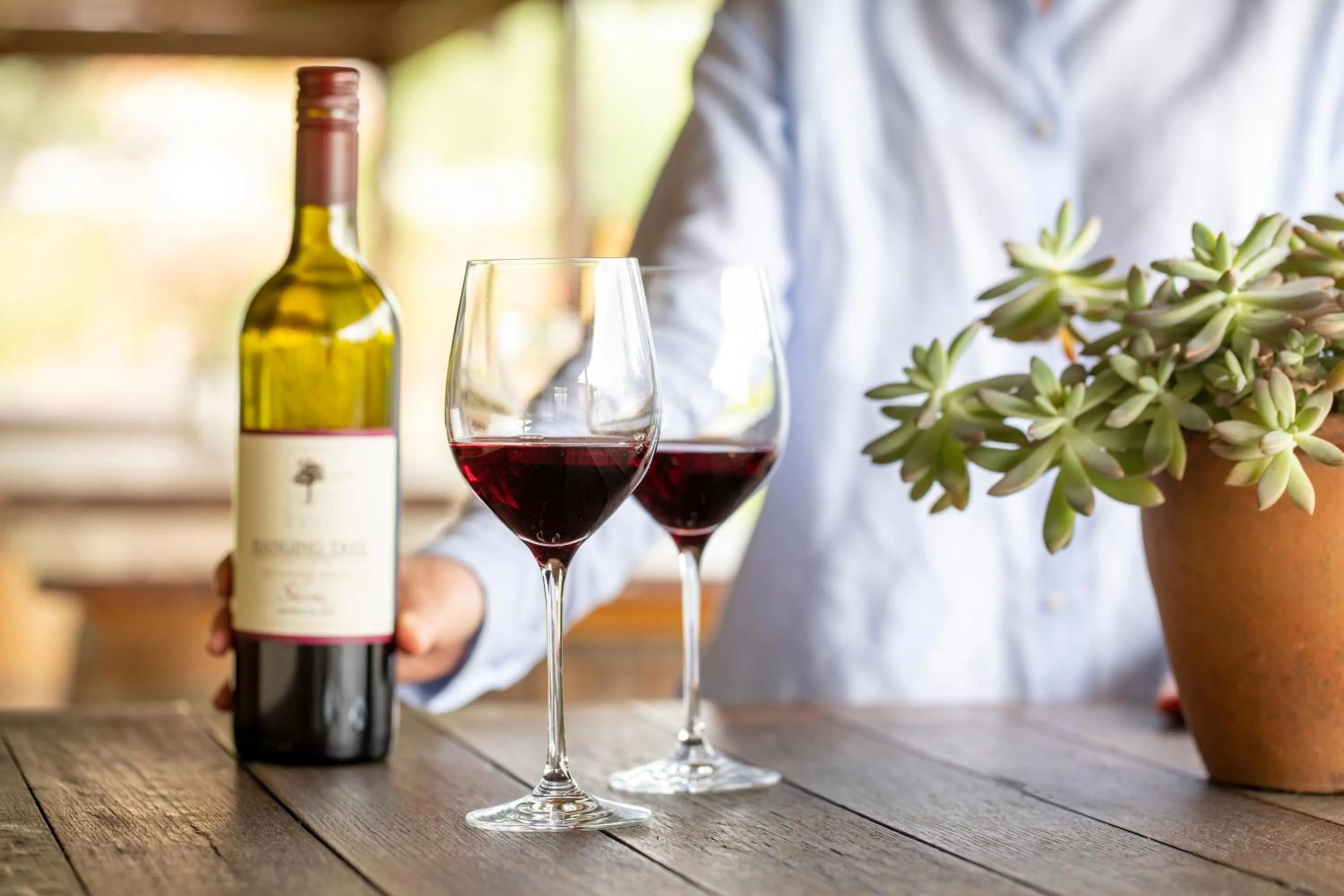 Hanging Tree Wines