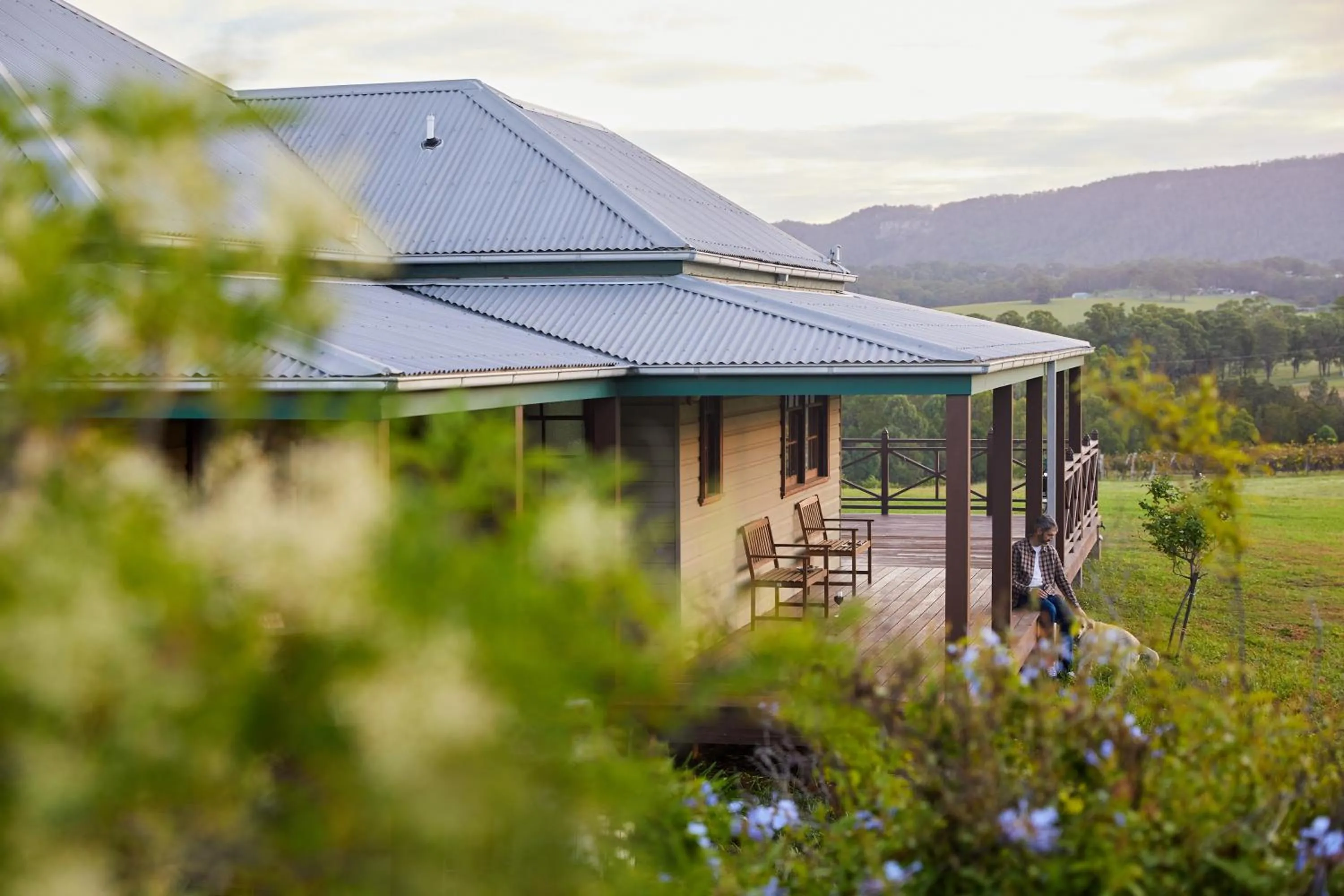 Hanging Tree Wines