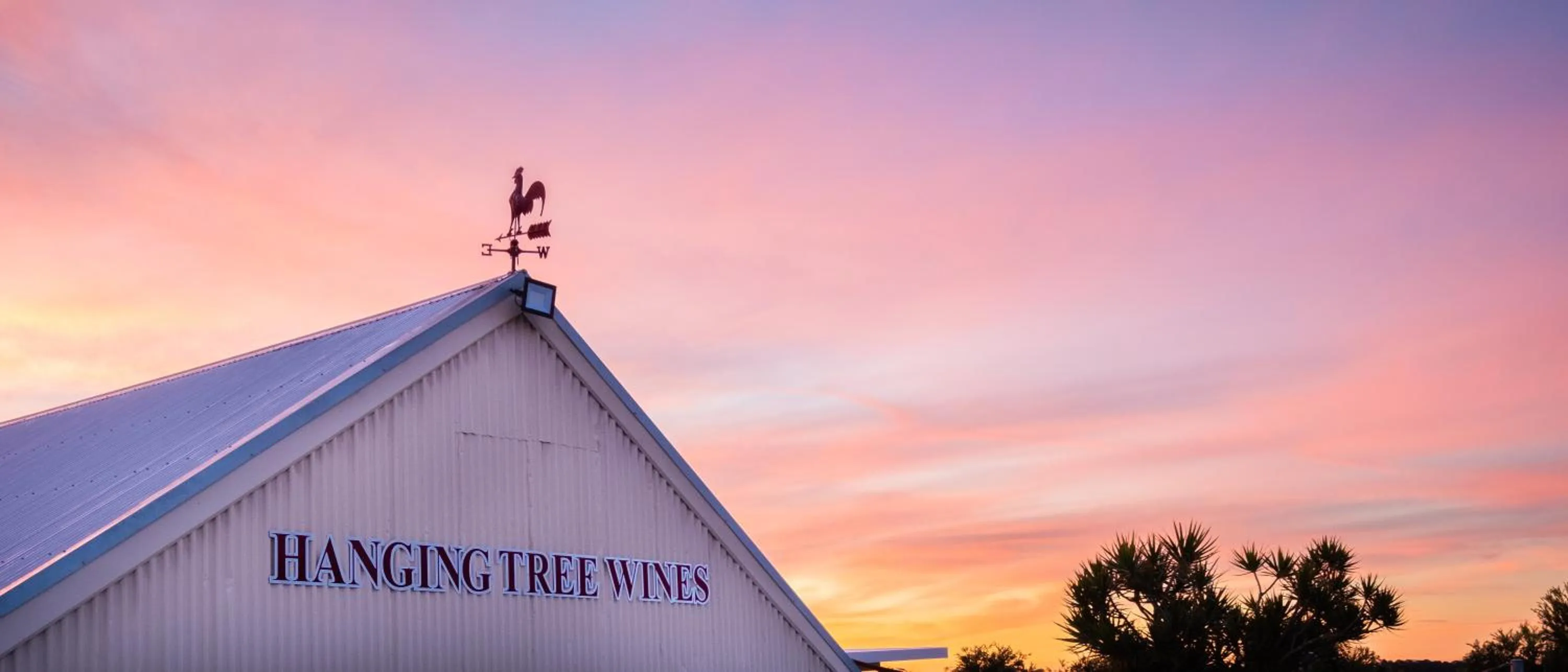 Hanging Tree Wines