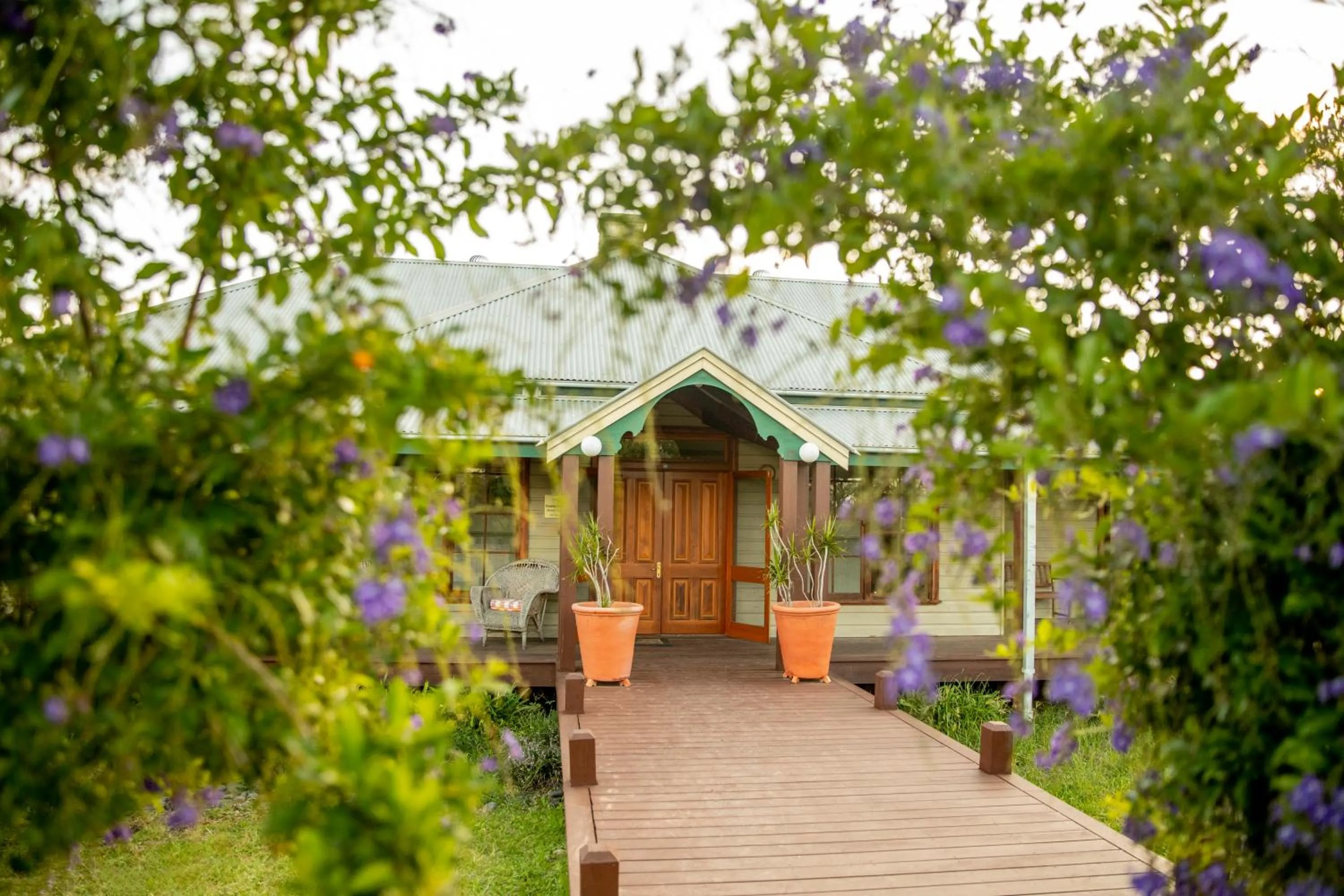 Hanging Tree Wines