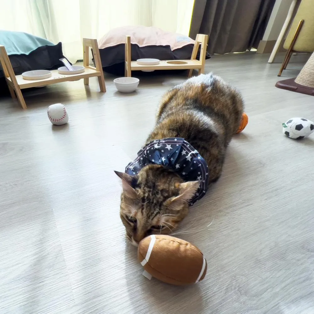 Pets in Formosan Naruwan Hotel