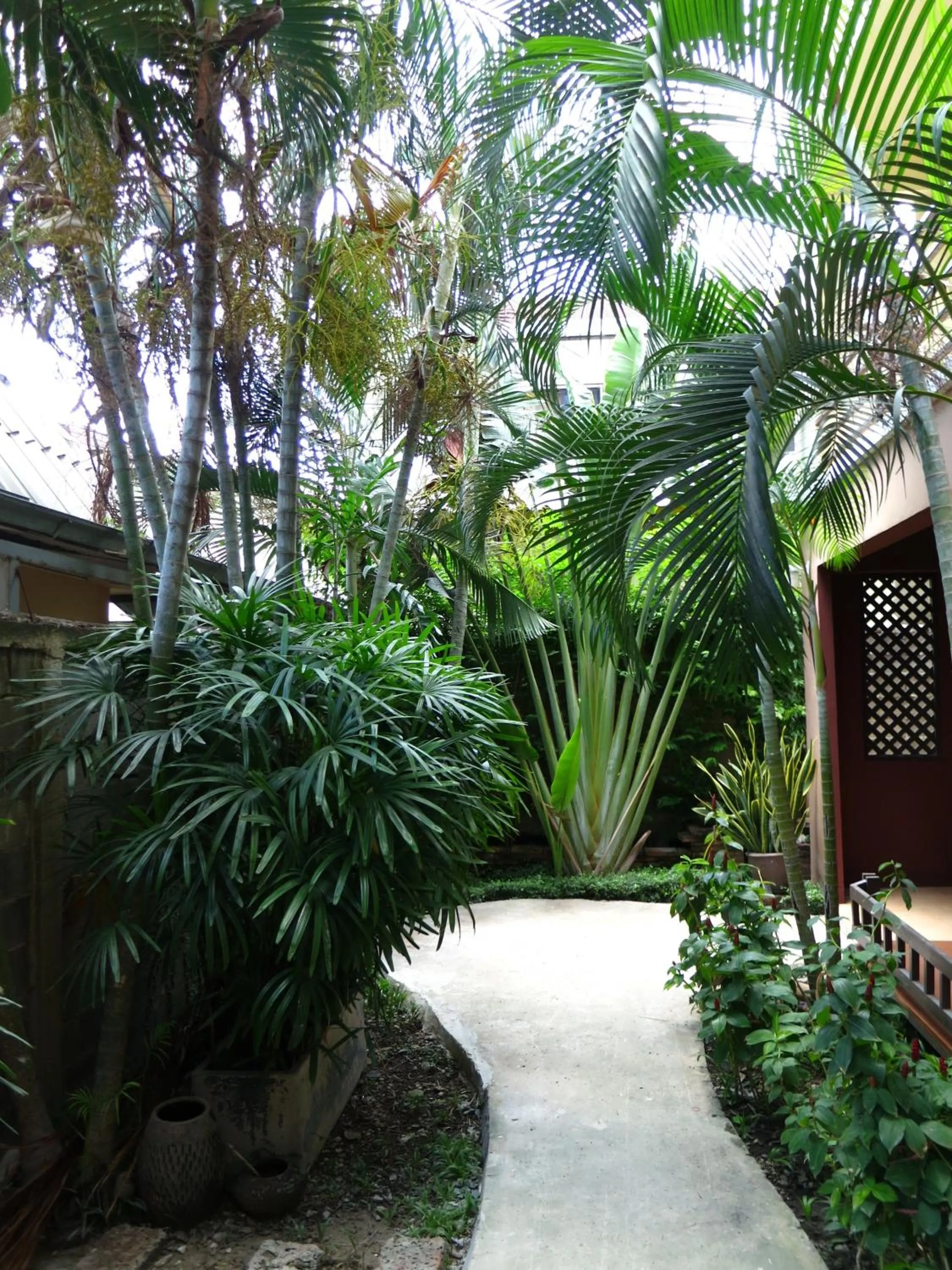 Day in Baan Baimai Boutique Room