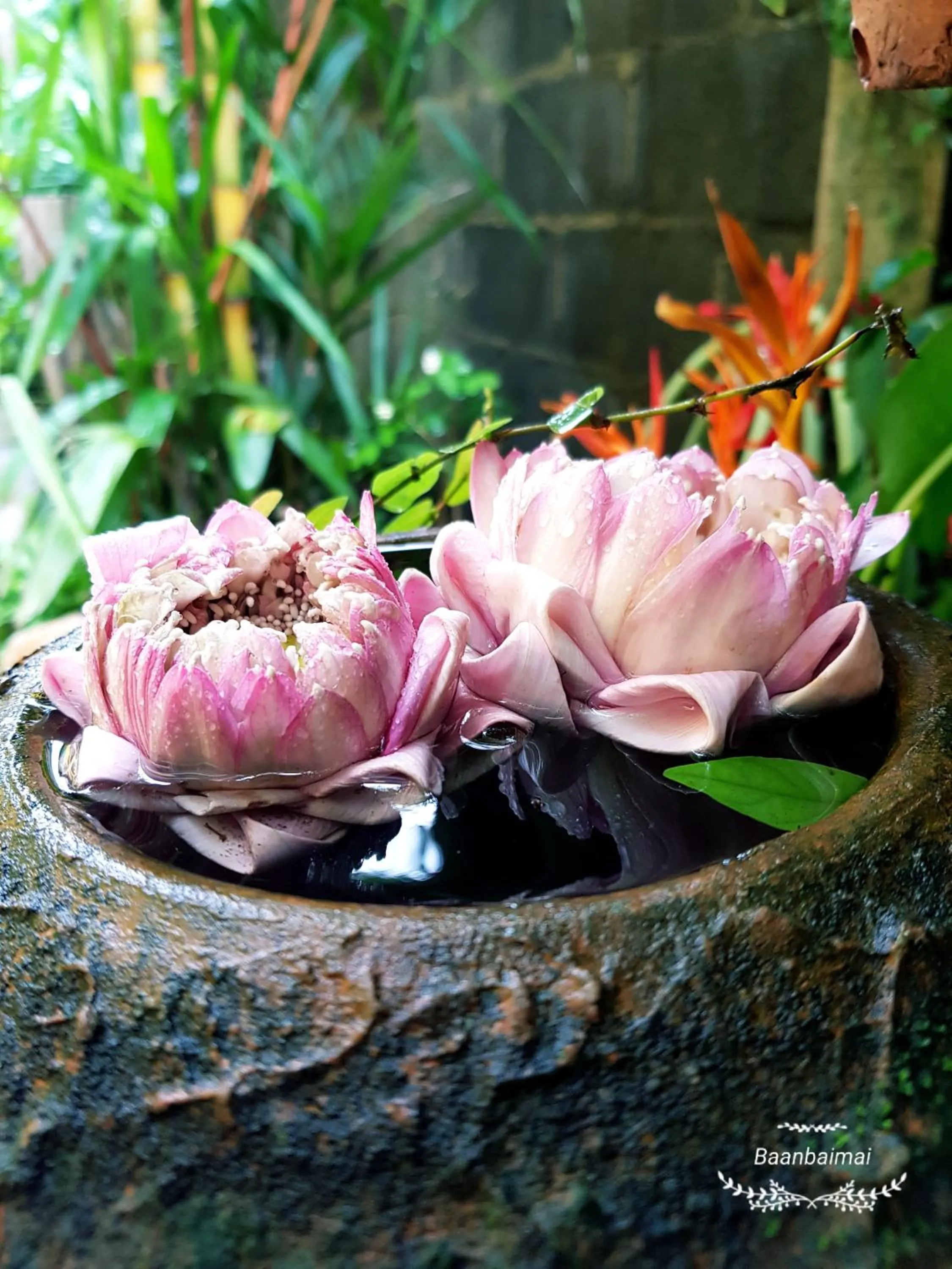 Baan Baimai Boutique Room