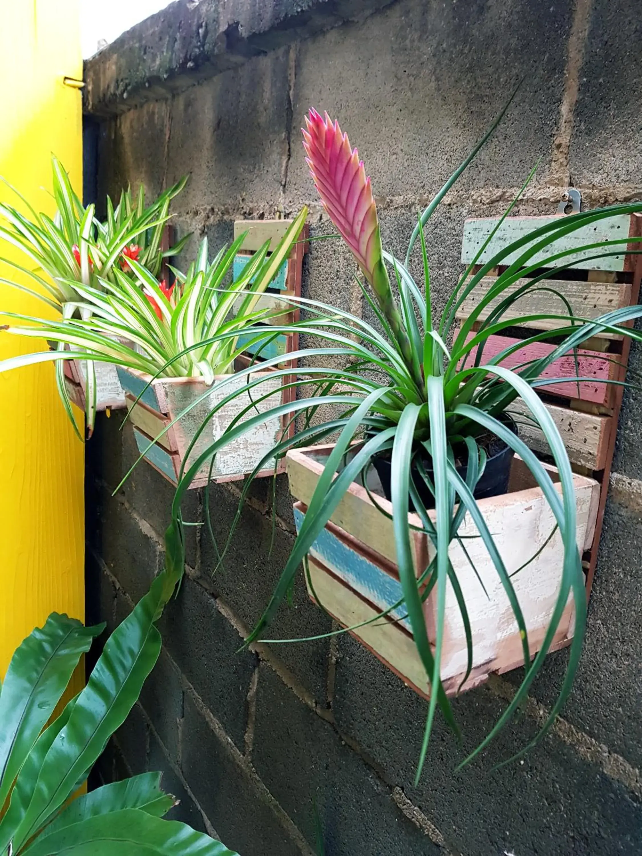 Property building in Baan Baimai Boutique Room Property building in Baan Baimai Boutique Room