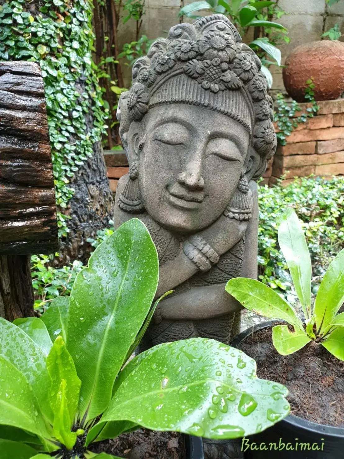 Garden view in Baan Baimai Boutique Room Garden view in Baan Baimai Boutique Room