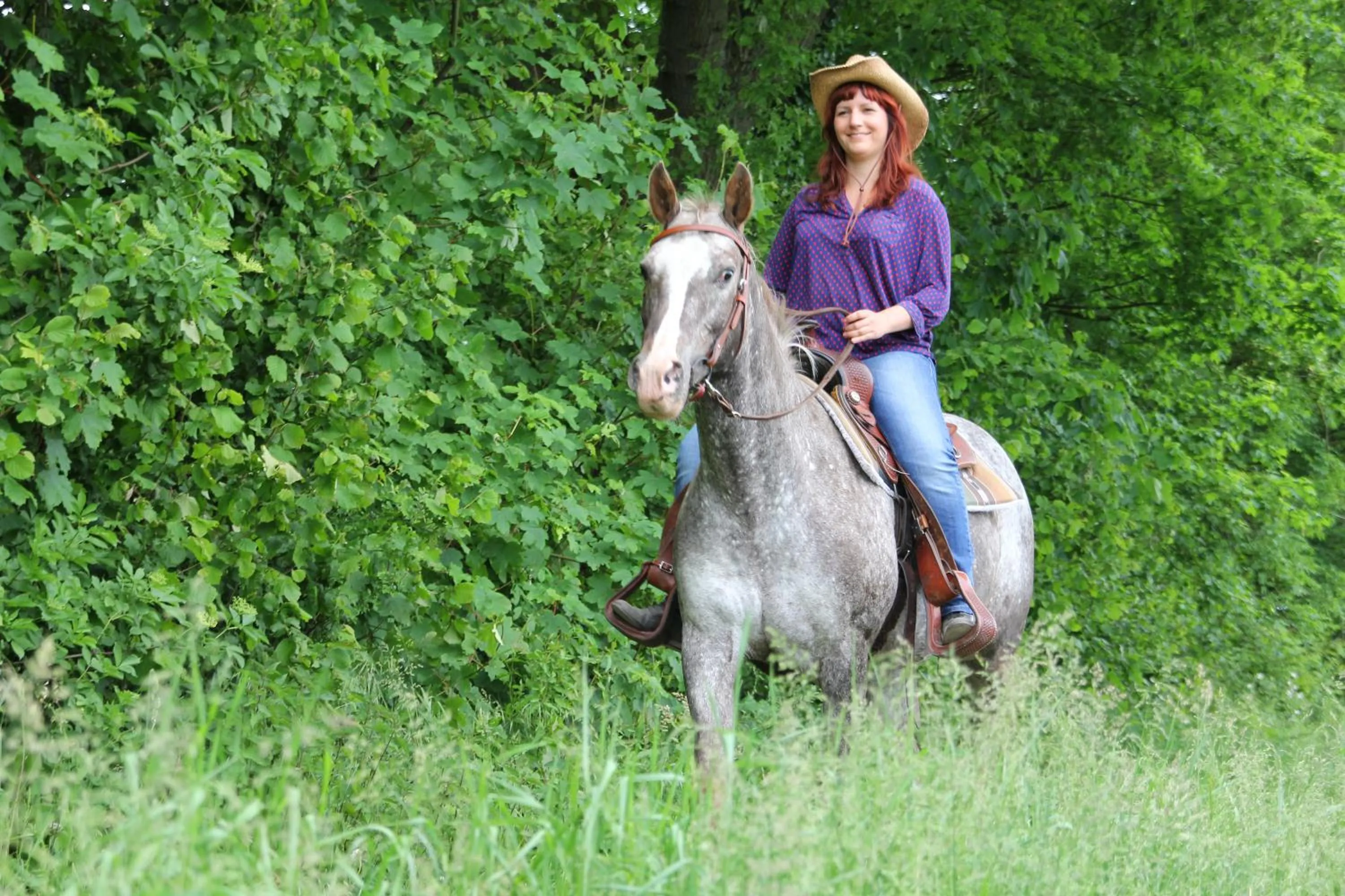 Horse-riding in Wohnungen unter Reet