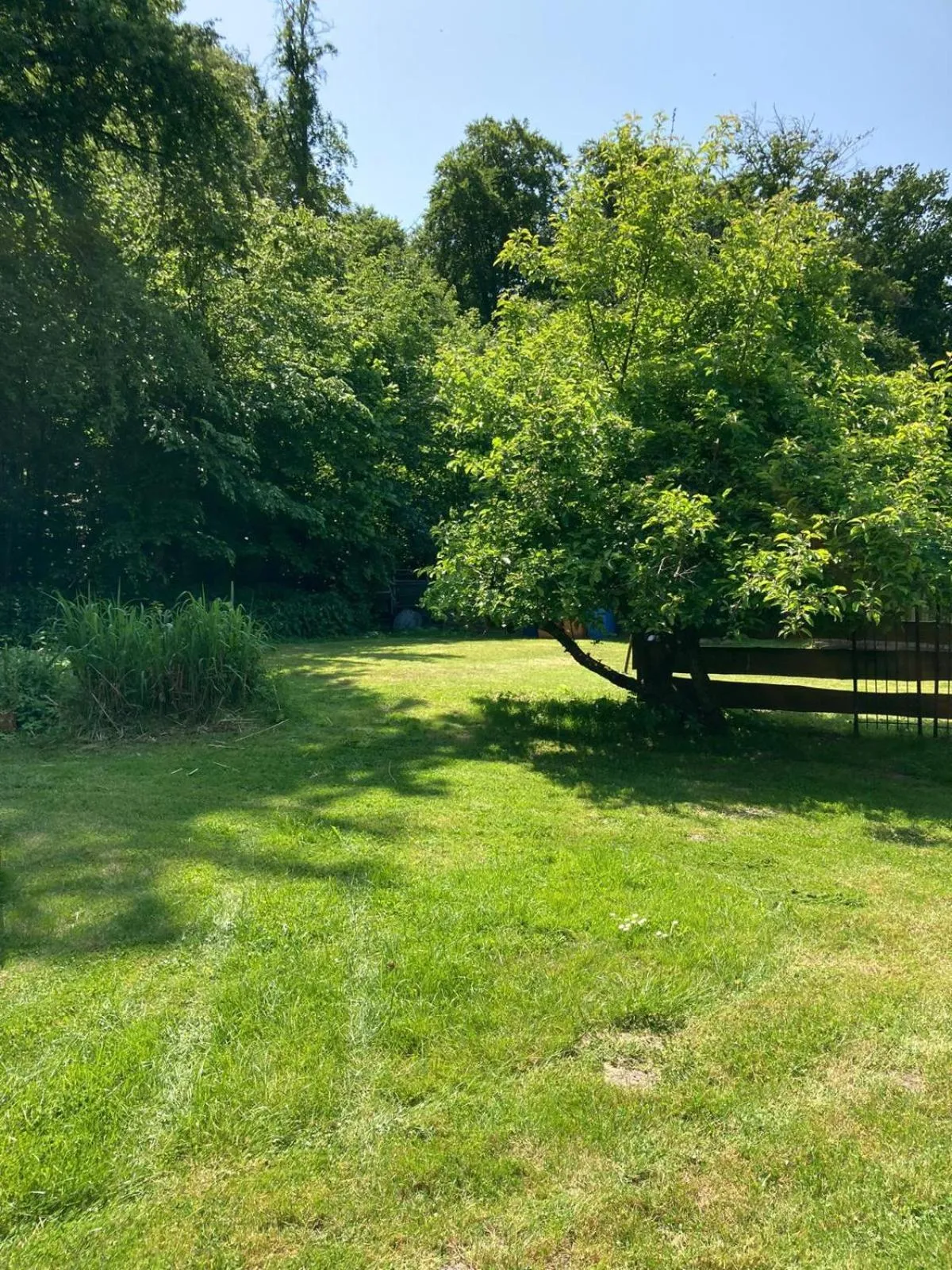 Property building in Wohnungen unter Reet