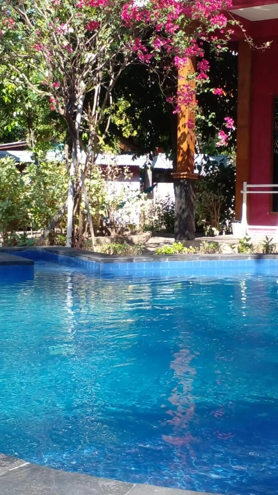 Swimming pool in Elephant House and Bungalows Gili Air