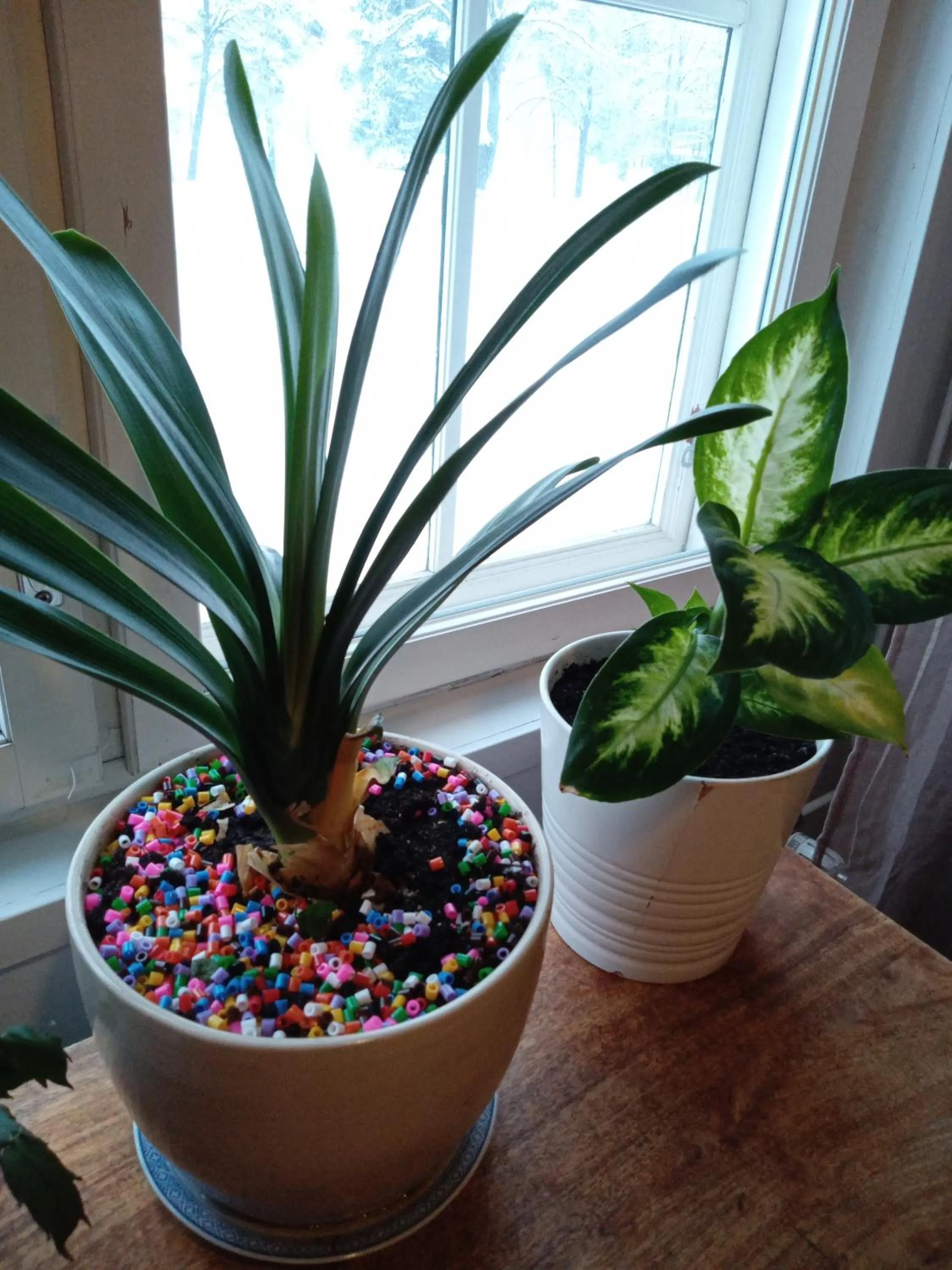 Warkhaus Apartments Korpela