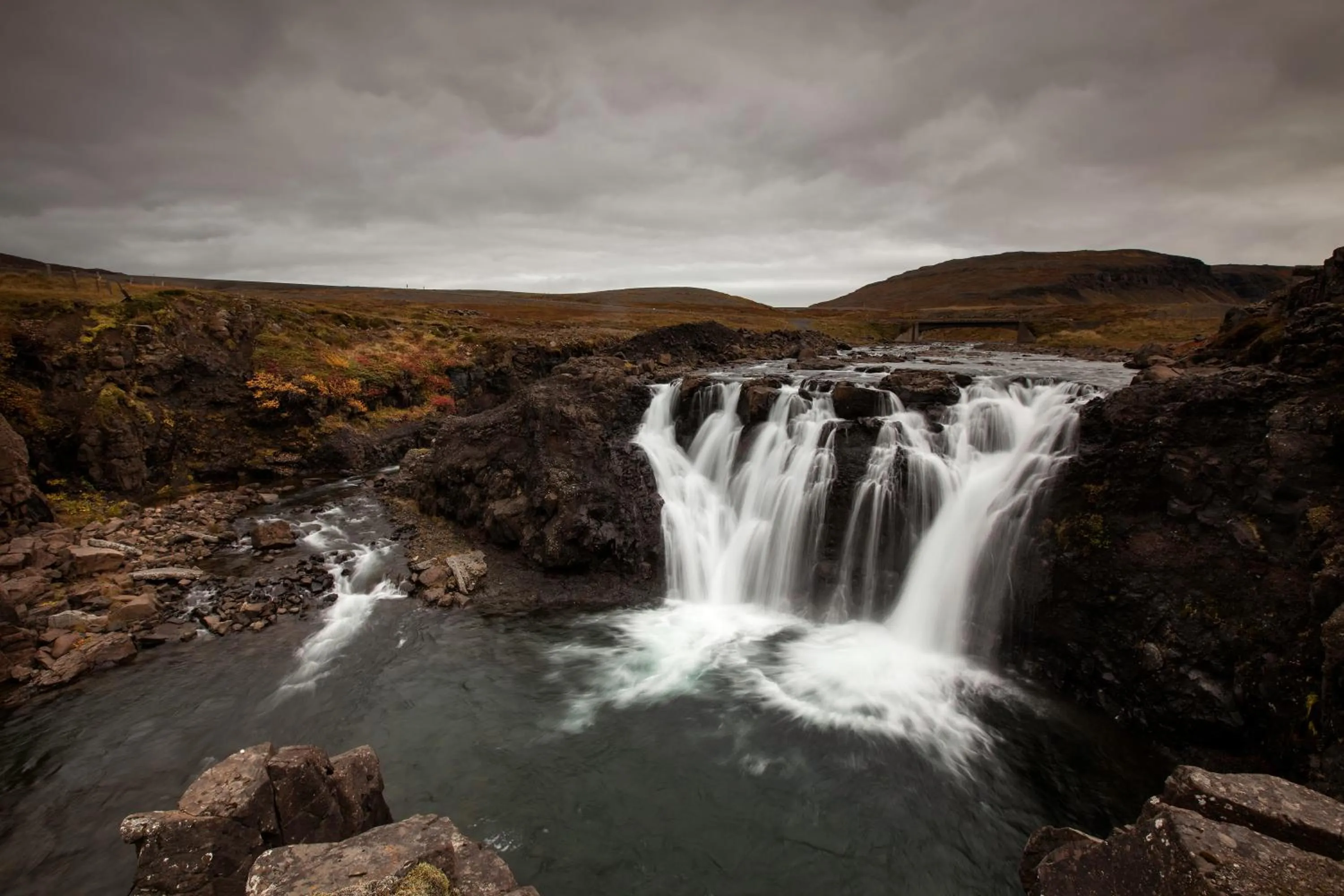 Off site in The Freezer Hostel & Culture Center