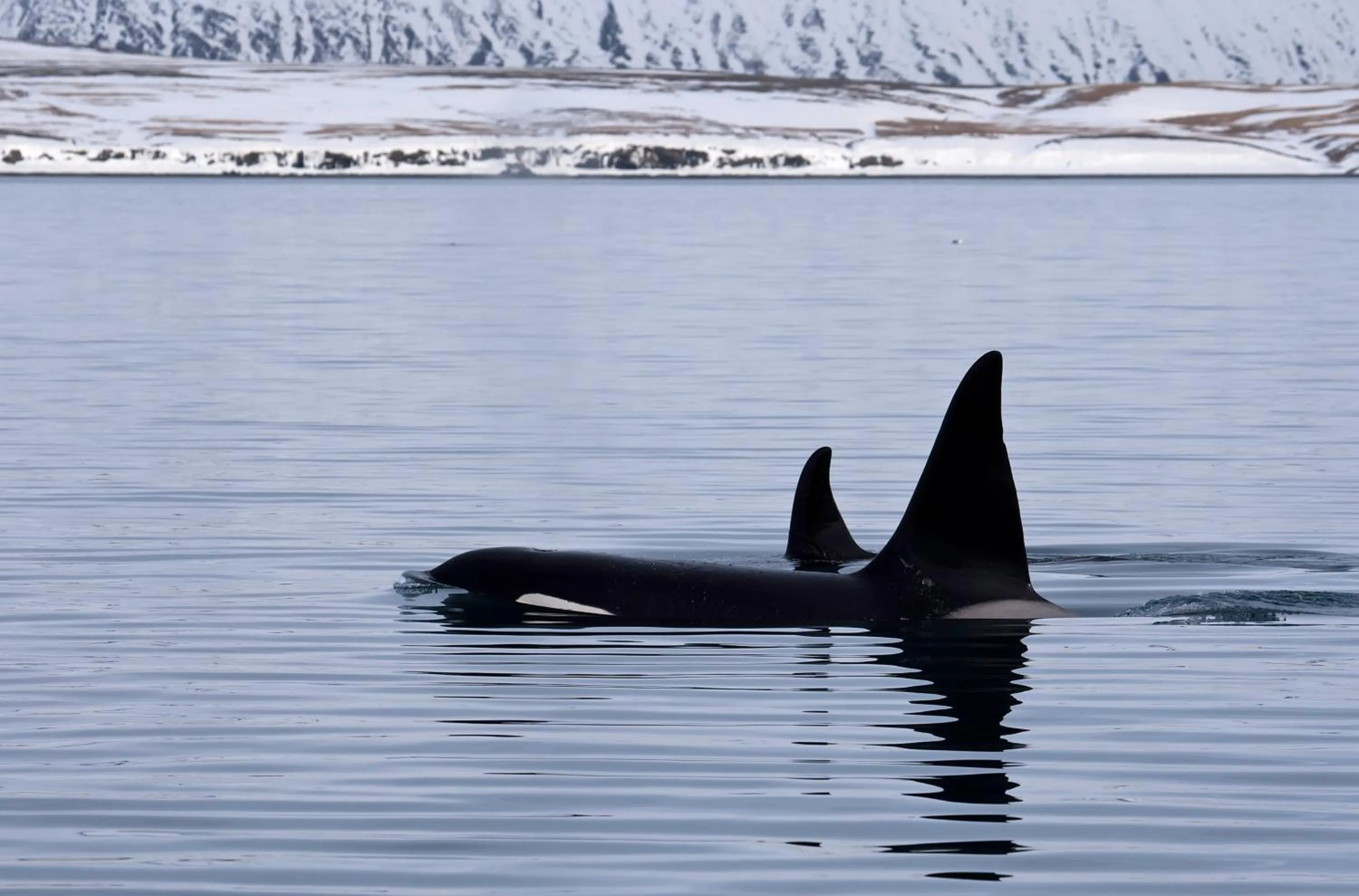 Off site in The Freezer Hostel & Culture Center