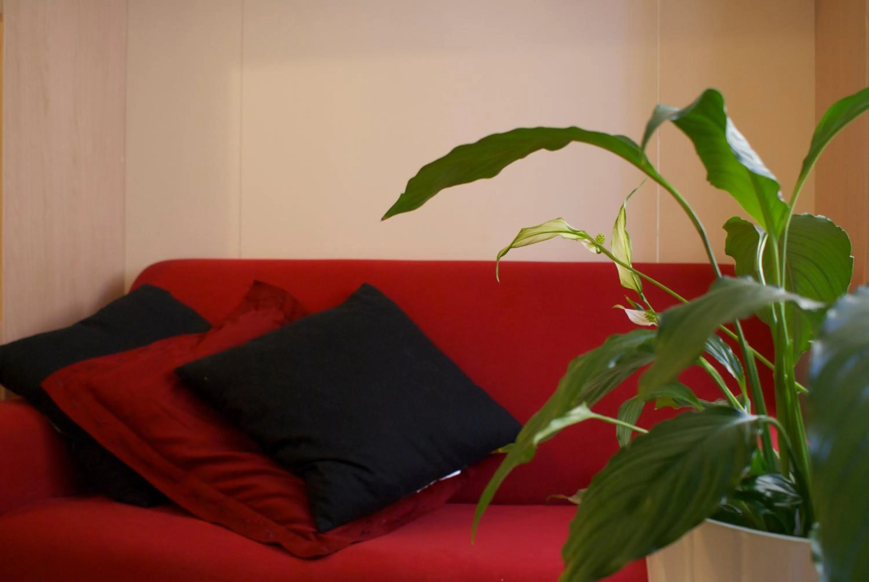 Decorative detail in Olly Apartments