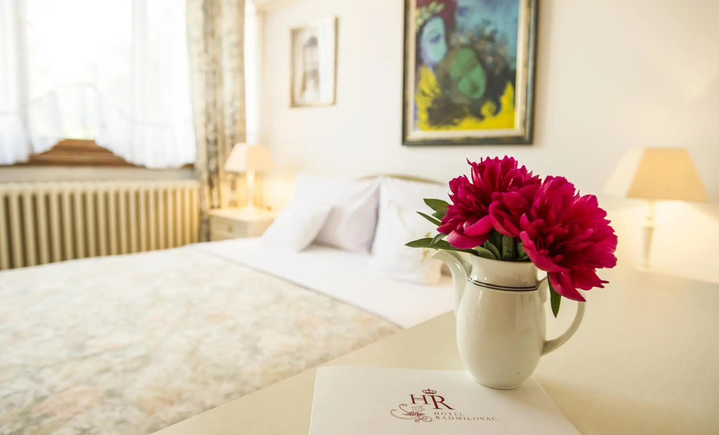 Double Room in Hotel Radmilovac Double Room in Hotel Radmilovac