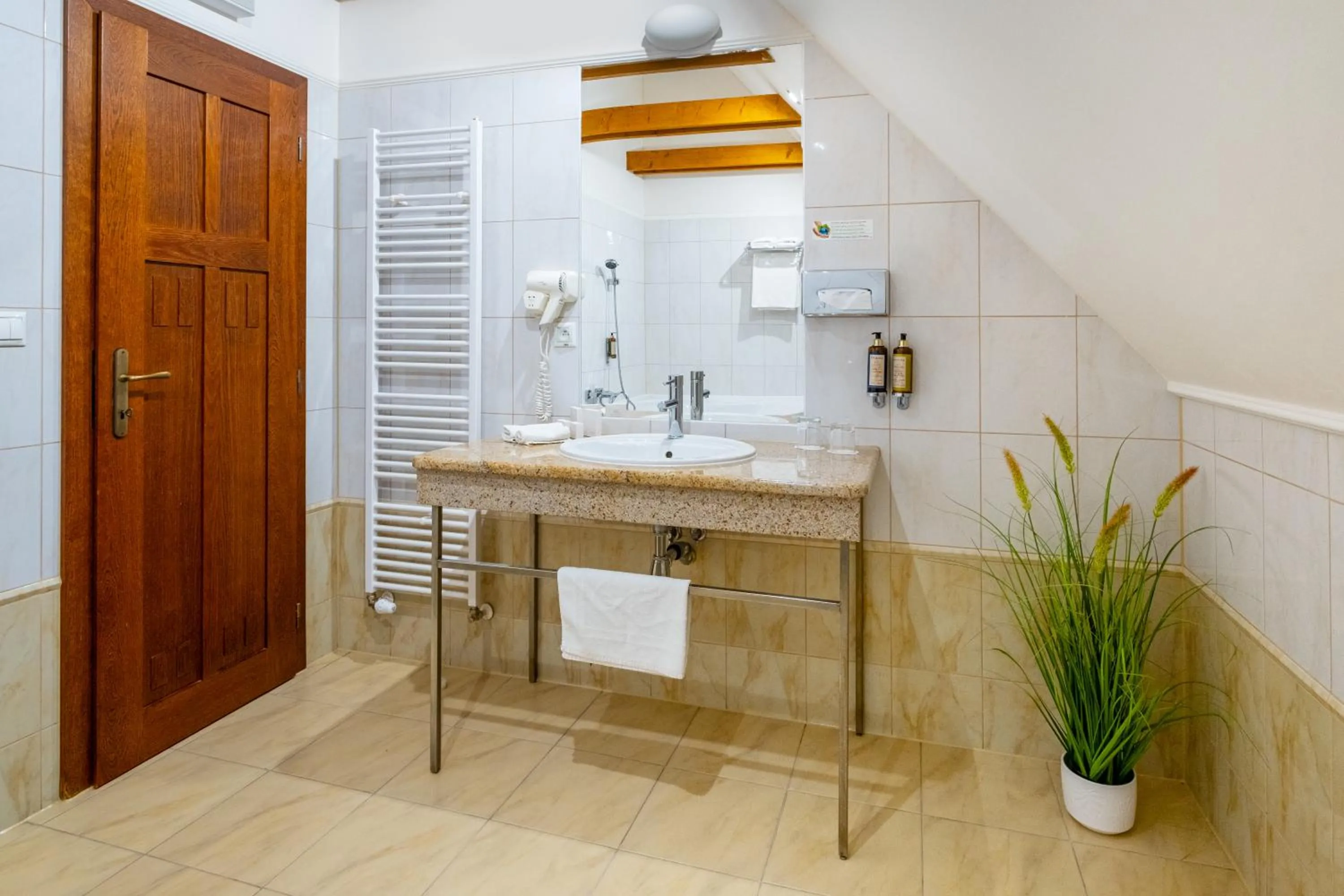 Bathroom in Hotel Golden Eagle