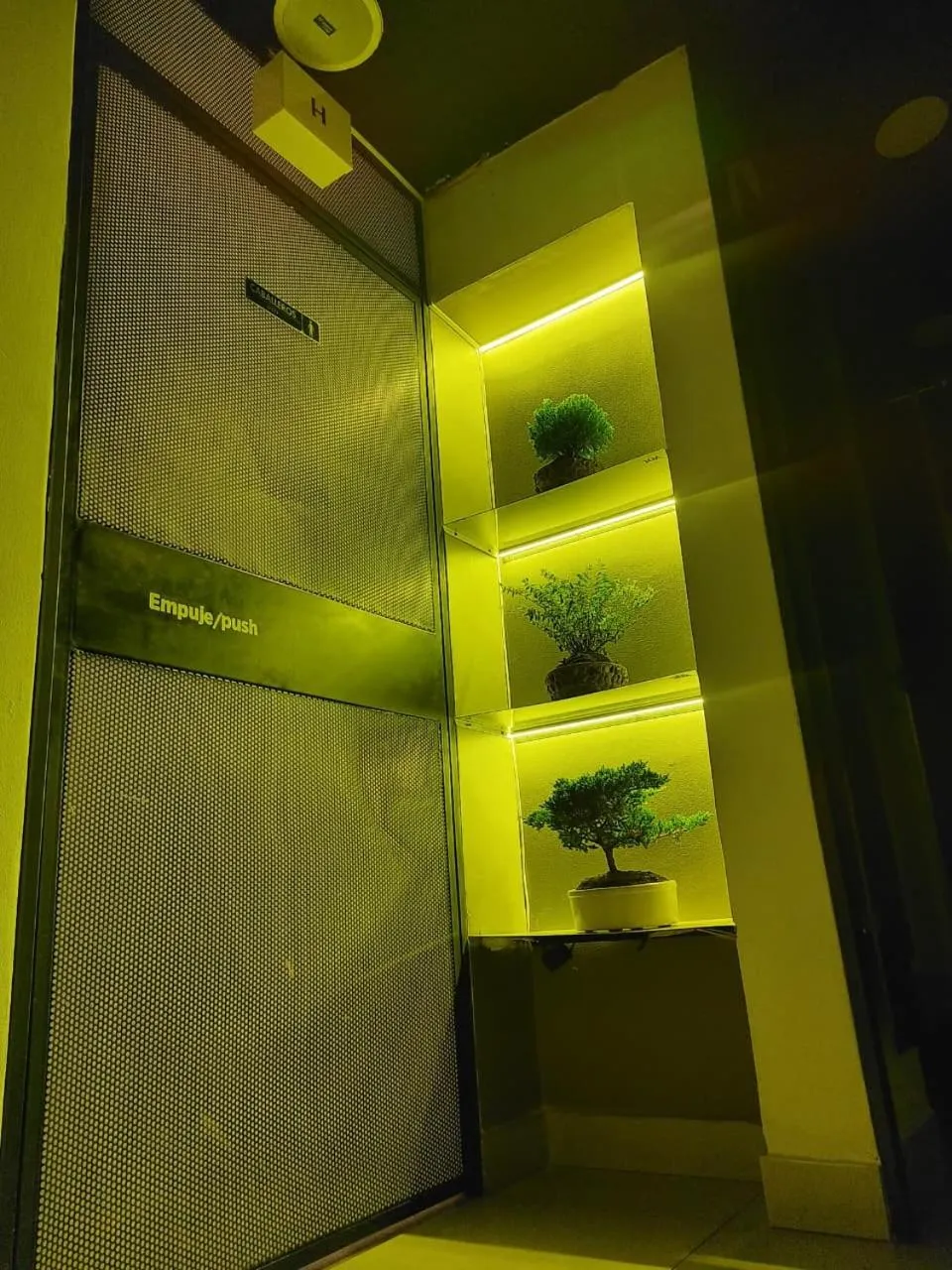 Night in Hostel Joy Calle 85