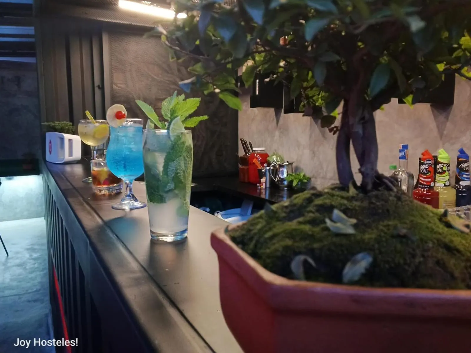 Lounge or bar in Hostel Joy Calle 85