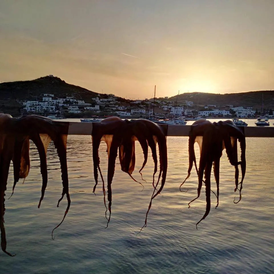 Restaurant/places to eat in Sailinn Mykonos