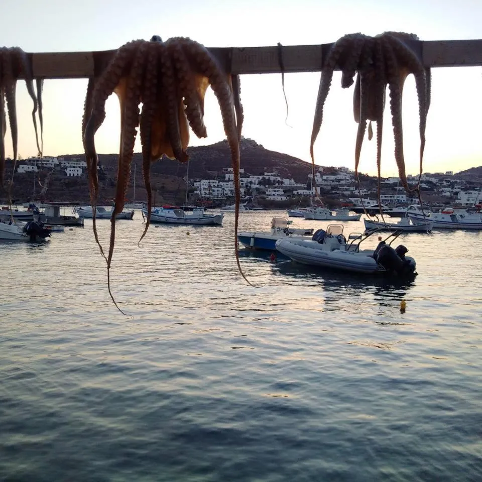 Restaurant/places to eat in Sailinn Mykonos