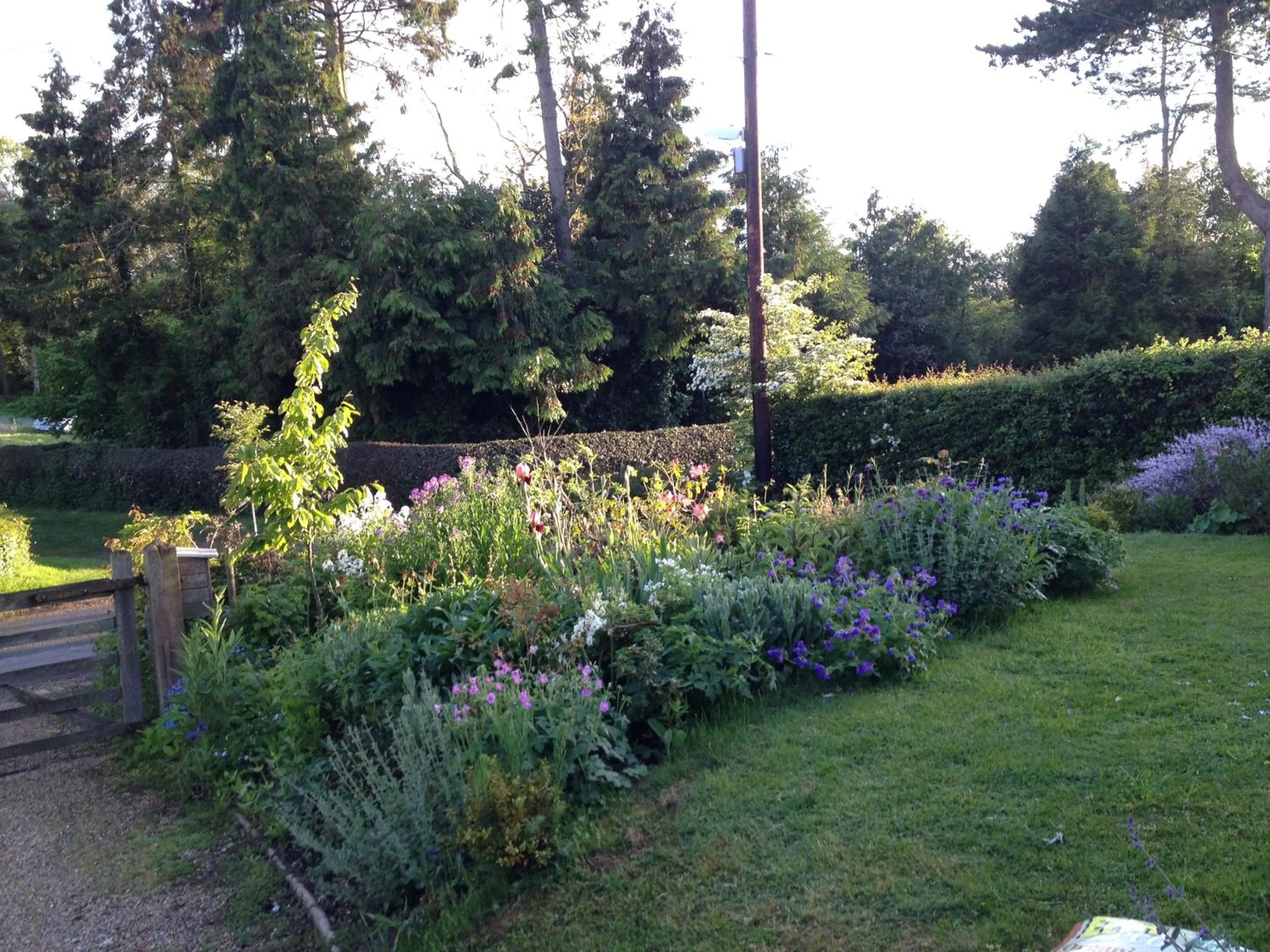 View (from property/room) in Mulleys Cottage (Bed and Breakfast)
