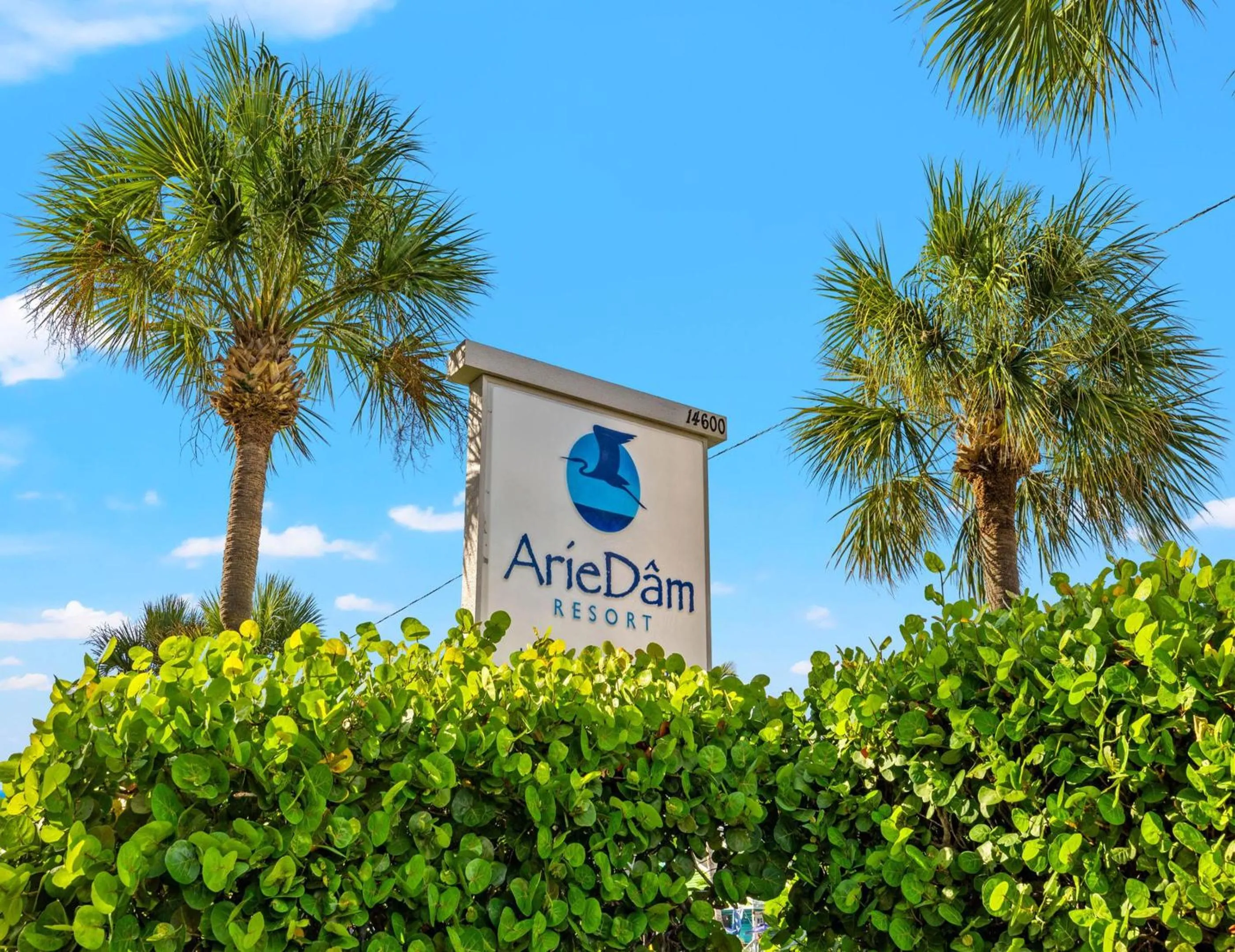 Property building in Arie Dam 404