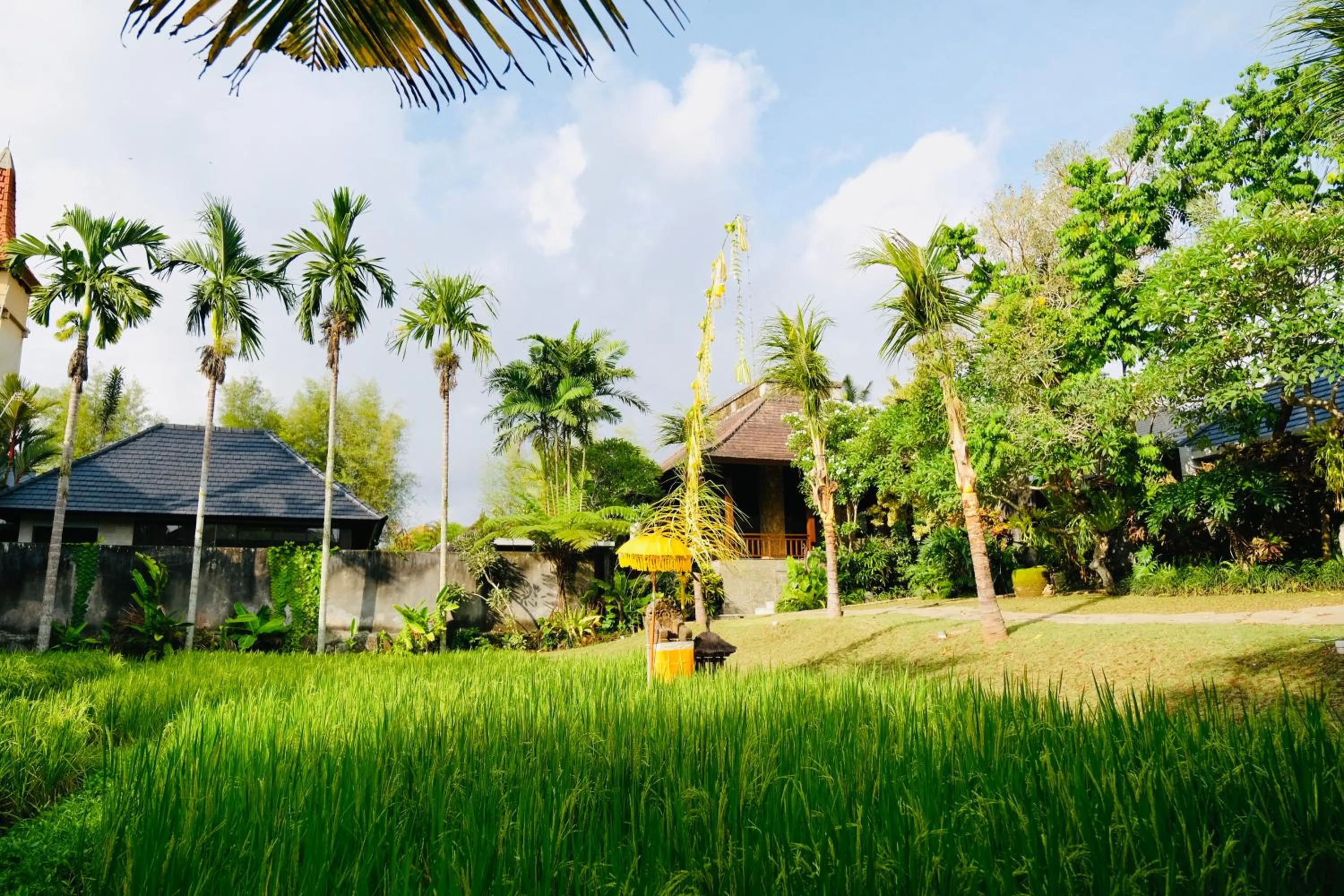 Natural landscape in Wana Karsa The Villas Ubud