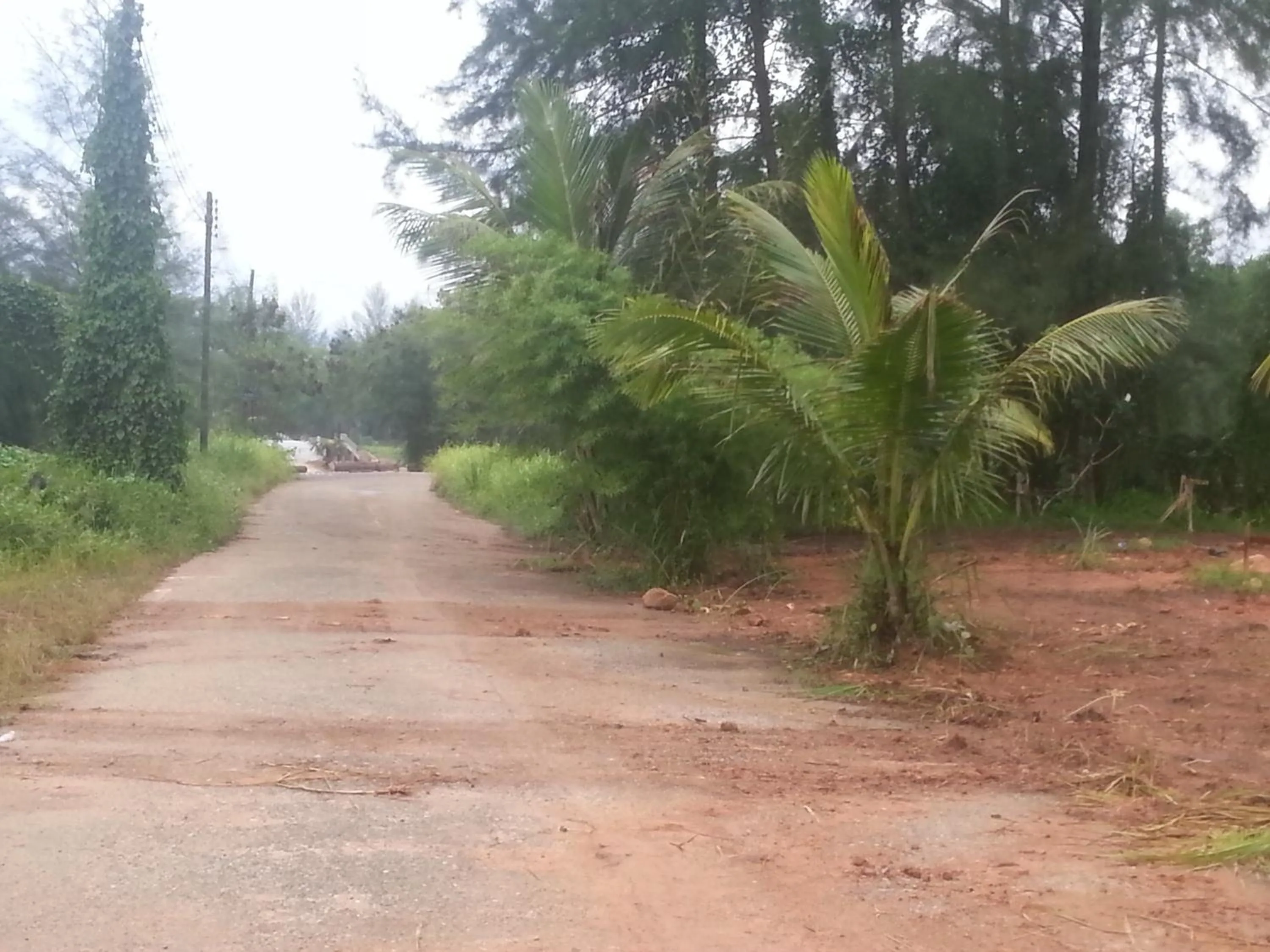 Area and facilities in Spy home