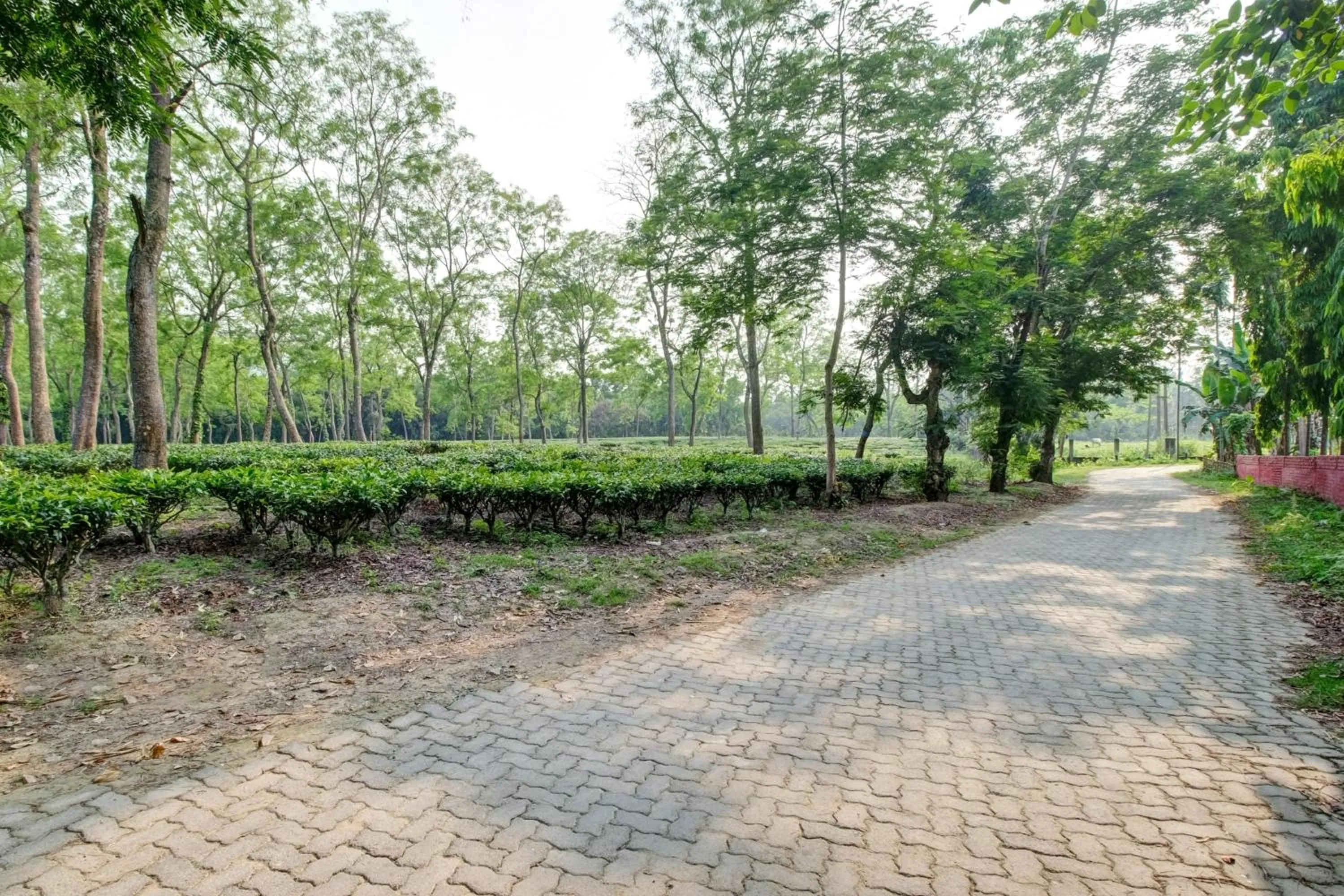 Nearby landmark in Hotel O Heritage Nest Resort Kazirnga