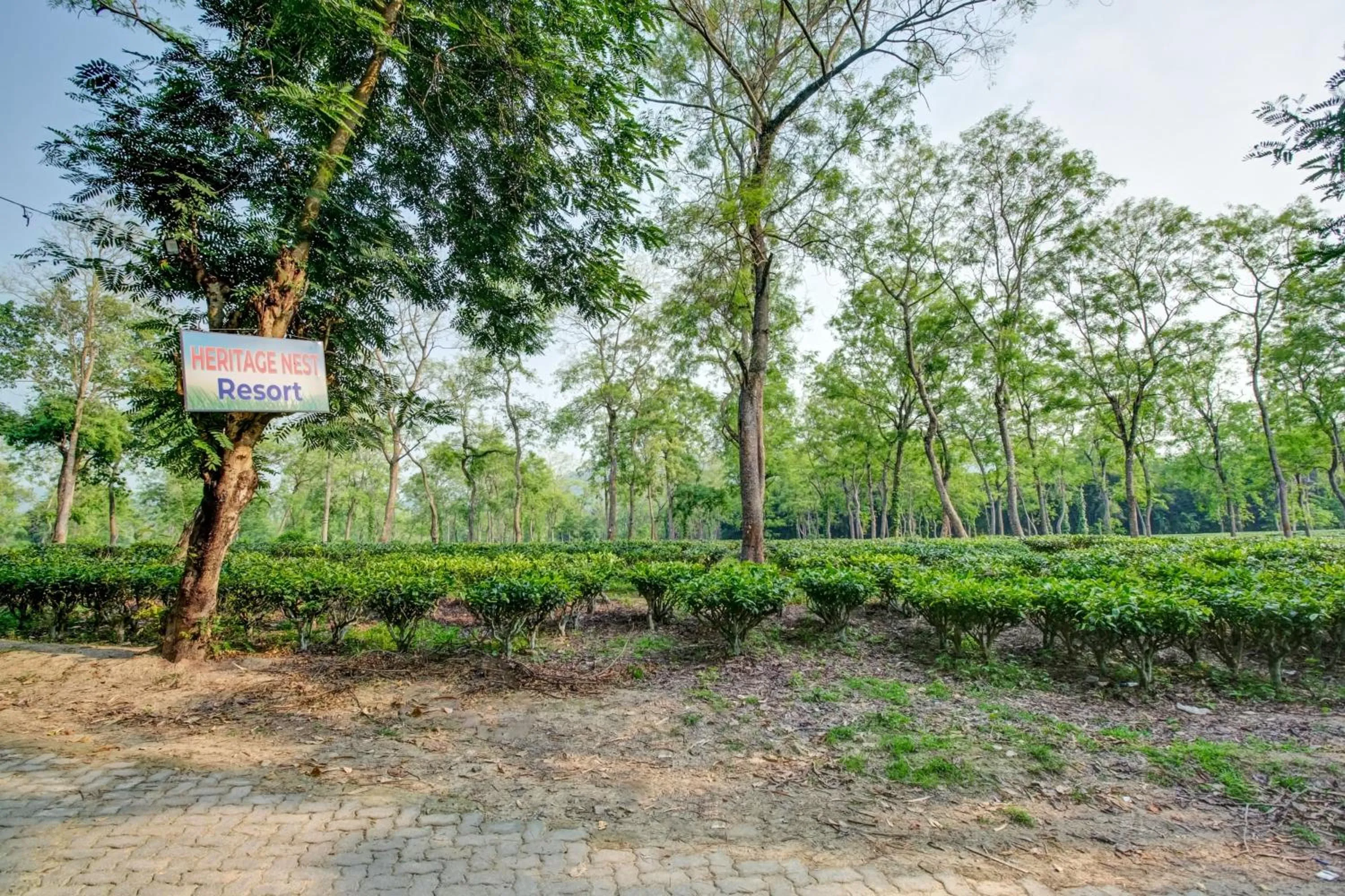 Nearby landmark in Hotel O Heritage Nest Resort Kazirnga