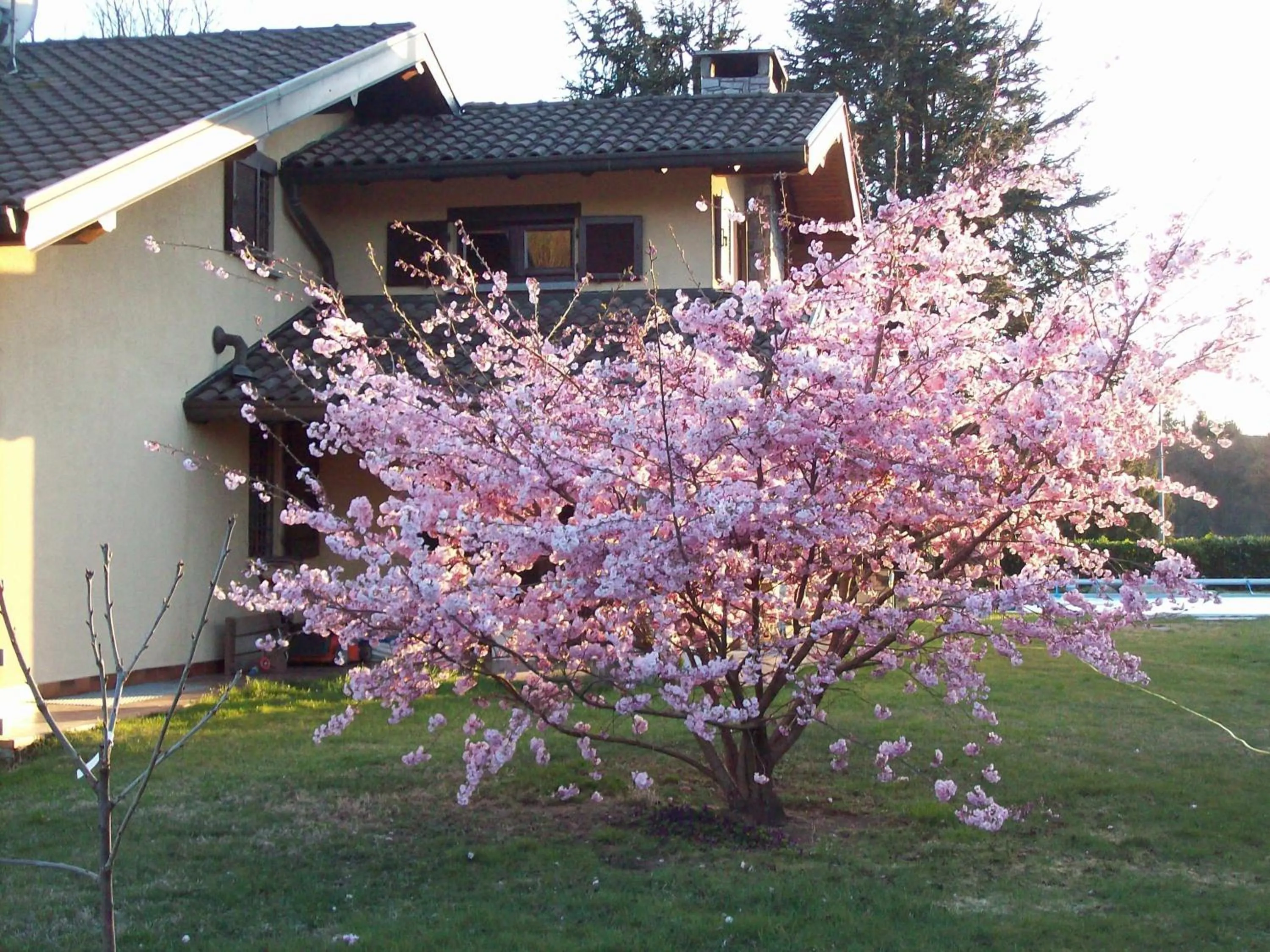 Property building in B&B Il Ciliegio