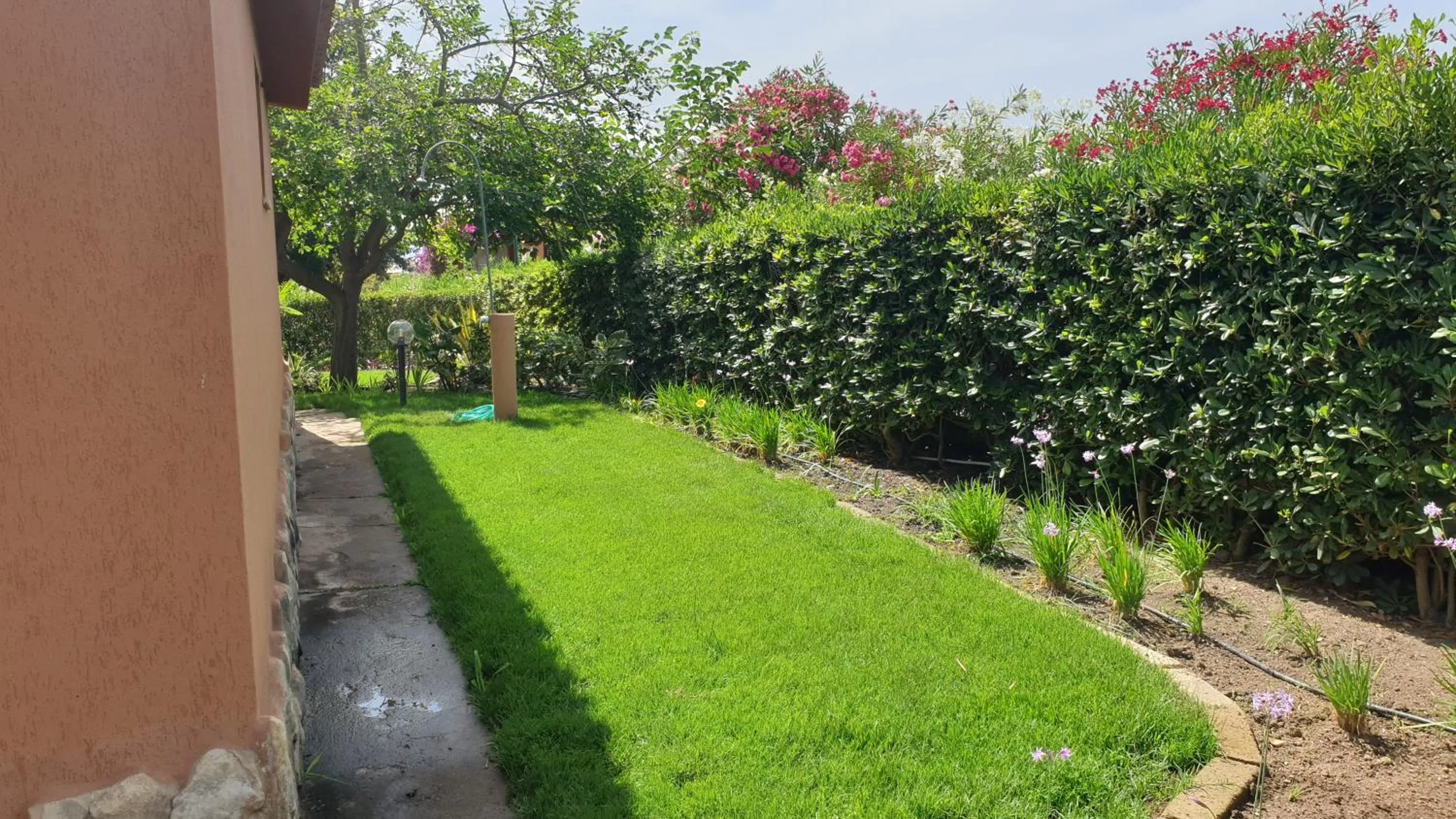 Garden in Villetta Sunrise 18