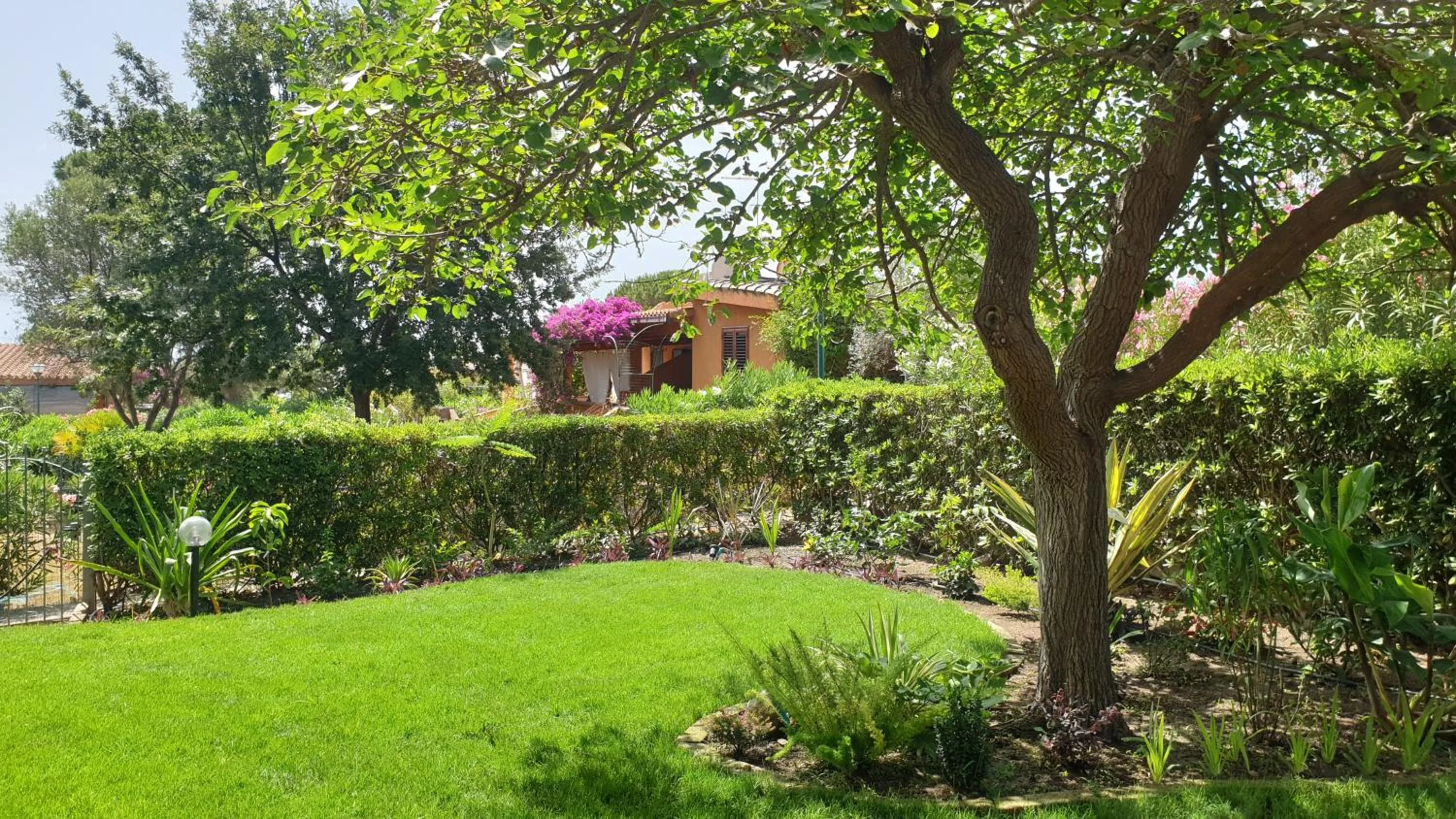 Garden in Villetta Sunrise 18