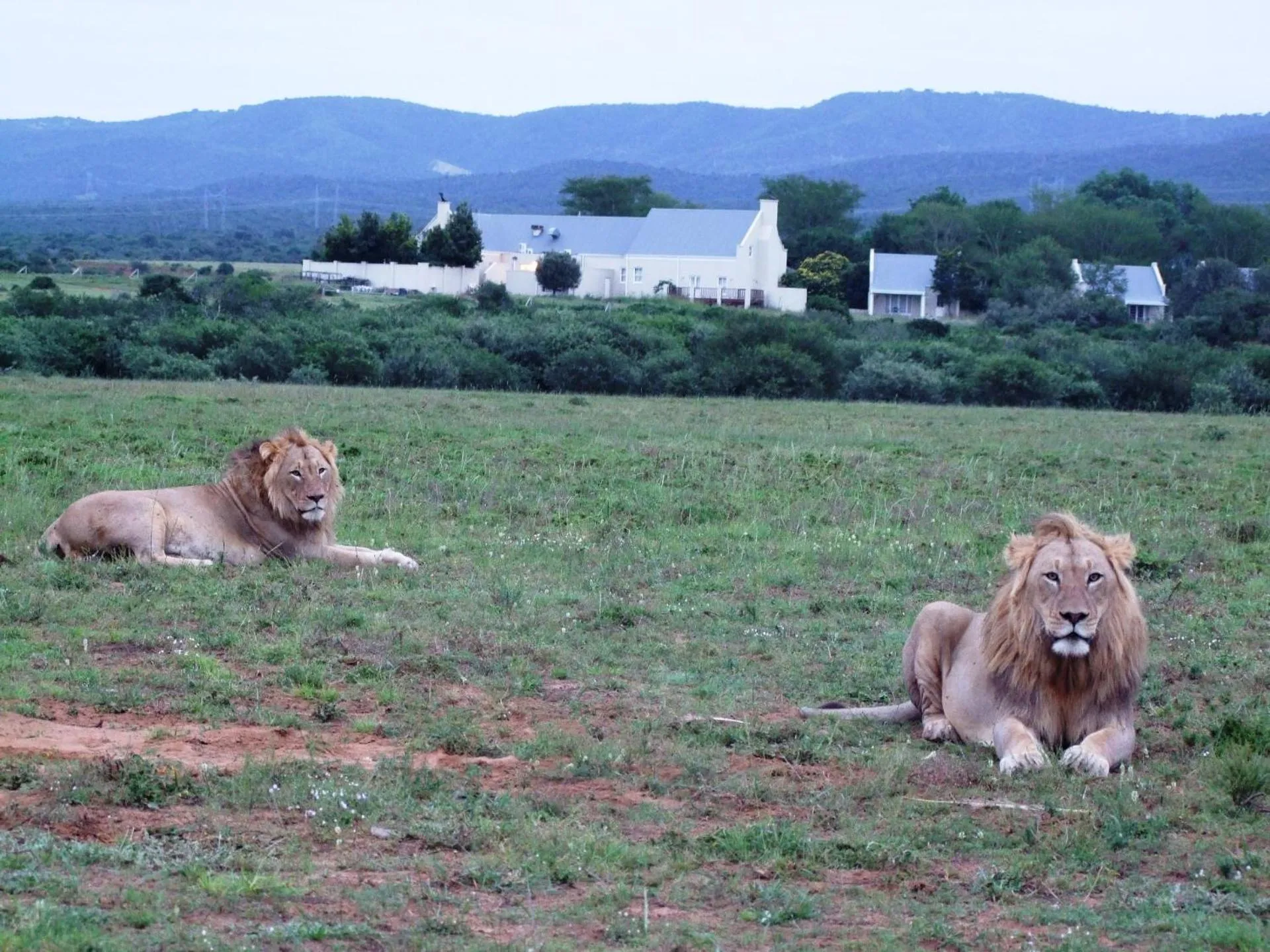 Property building in RiverBend Lodge