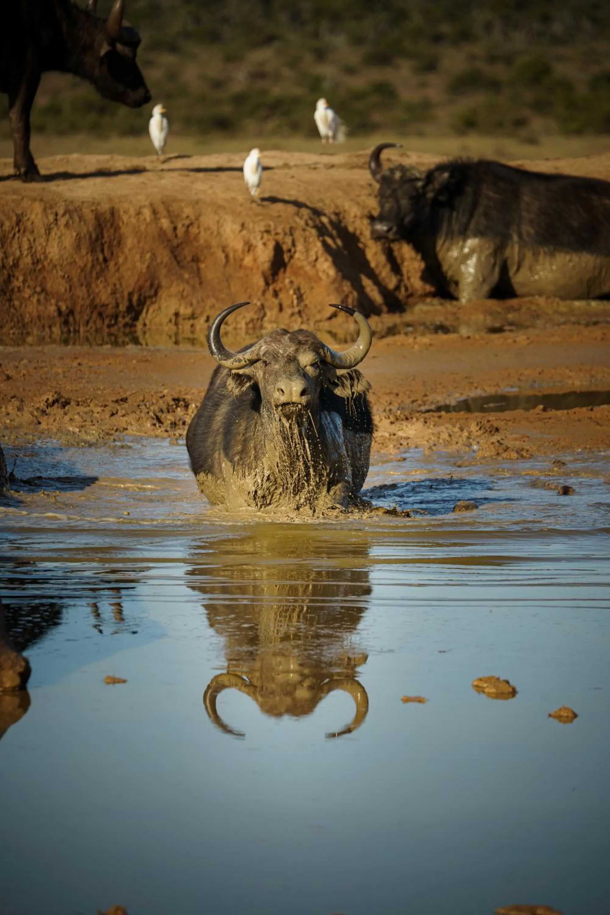 Natural landscape in RiverBend Lodge