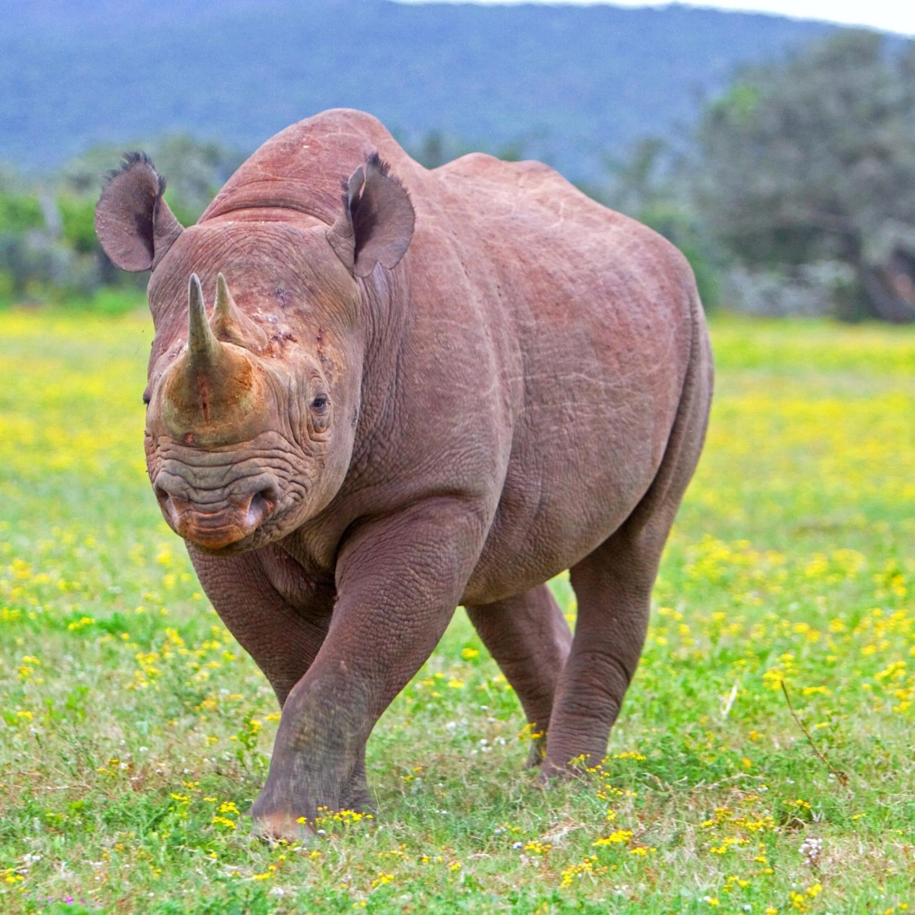 Natural landscape in RiverBend Lodge